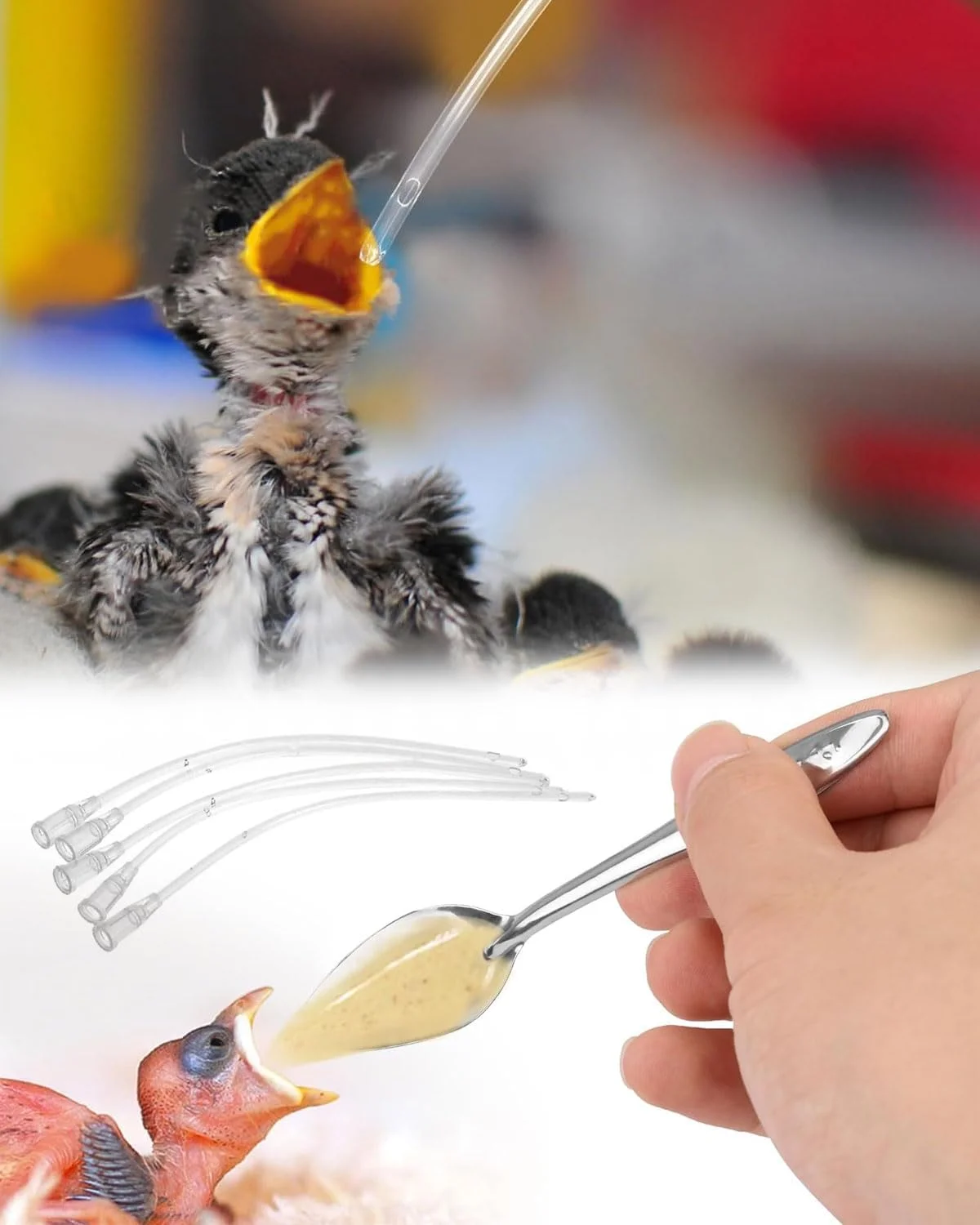 شیلنگ تغذیه پرندگان جوان TPZORJX، شامل 3 سرنگ، 8 شیلنگ، 2 قاشق، 1 جعبه دانه، ابزار تغذیه دستی برای پرندگان و طوطی های کوچک، شیر، آب، دارو، طیور، تمیز کردن آسان شیلنگ تغذیه پرندگان جوان TPZORJX، شامل 3 سرنگ، 8 شیلنگ، 2 قاشق، 1 جعبه دانه، ابزار تغذیه دستی برای پرندگان و طوطی های کوچک، شیر، آب، دارو، طیور، تمیز کردن آسان