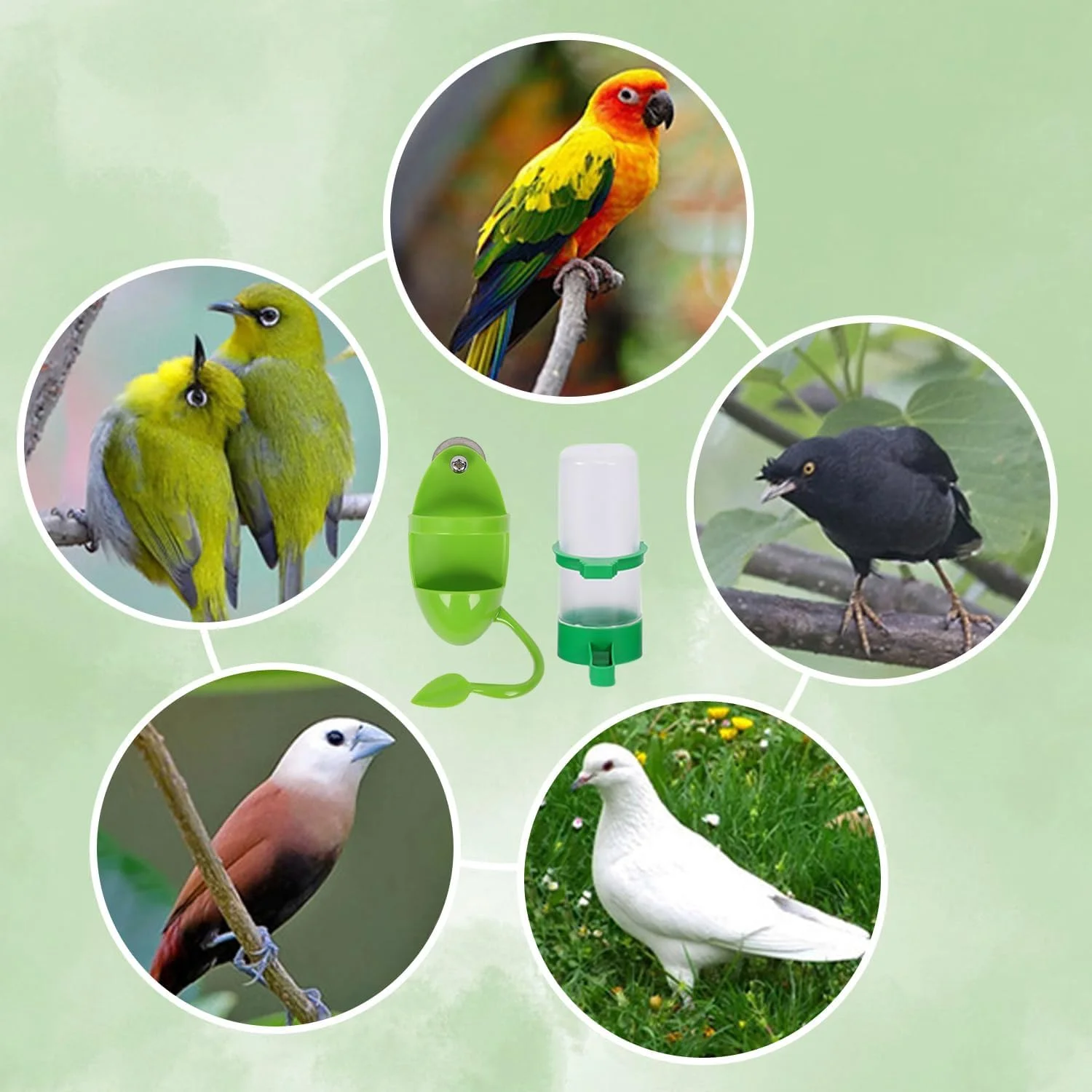 ست دانخوری دو تکه و آبخوری یک تکه پرندگان TERRIFI، پایه دانخوری طوطی، لوازم پرندگان خانگی، ظرف غذا برای پرندگان، شامل اسکلت ماهی مرکب پرنده، بادوام و آسان برای استفاده ست دانخوری دو تکه و آبخوری یک تکه پرندگان TERRIFI، پایه دانخوری طوطی، لوازم پرندگان خانگی، ظرف غذا برای پرندگان، شامل اسکلت ماهی مرکب پرنده، بادوام و آسان برای استفاده