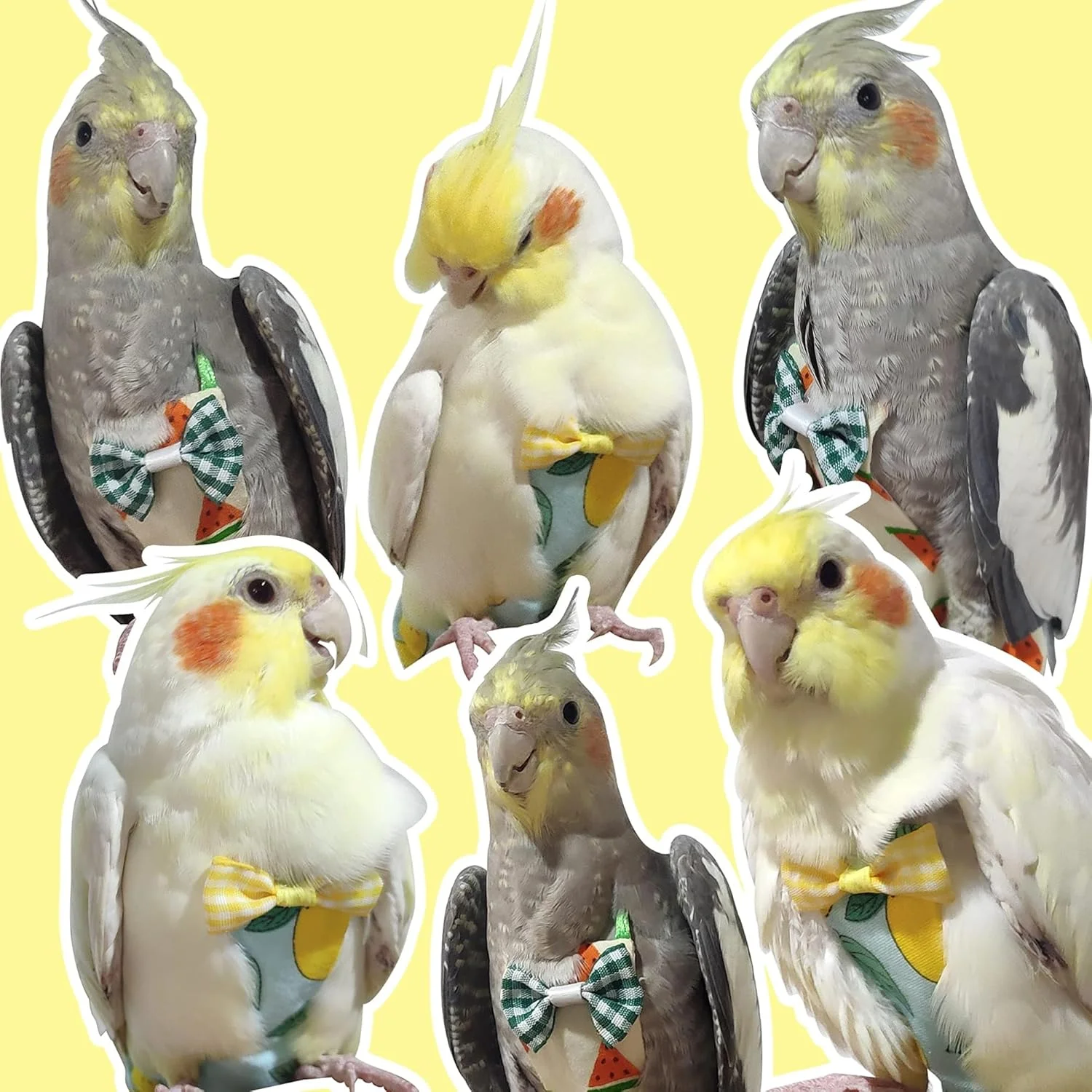 THE WHITE SHOP Bird Diaper Harness Flight Suit Clothes with 80 Inch Flying Leash for Parrots Cockatiel Pet Bird(Red) THE WHITE SHOP Bird Diaper Harness Flight Suit Clothes with 80 Inch Flying Leash for Parrots Cockatiel Pet Bird(Red)