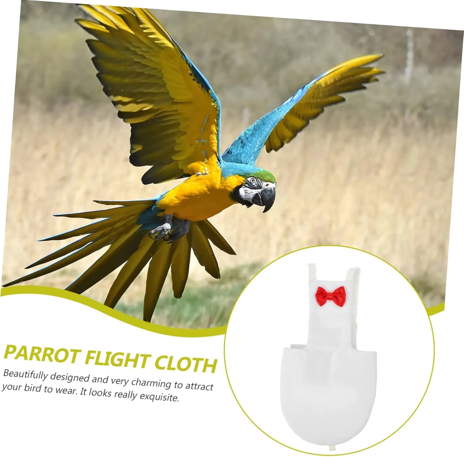 ۴ عدد پوشک پرنده پرواز کننده لباس پرنده برای عروس هلندی لباس پرنده تزئینی پوشک عروس هلندی پوشک پرنده برای مرغ عشق لباس پرنده پوشک برای لباس پرندگان پوشاک پنبه ای ۴ عدد پوشک پرنده پرواز کننده لباس پرنده برای عروس هلندی لباس پرنده تزئینی پوشک عروس هلندی پوشک پرنده برای مرغ عشق لباس پرنده پوشک برای لباس پرندگان پوشاک پنبه ای