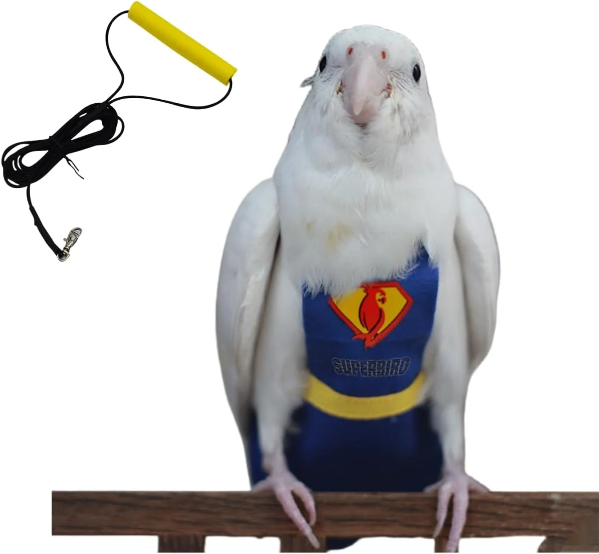 لباس پرواز و پوشک پرنده HayKiki همراه با بند، پوشک طوطی قابل شستشو و استفاده مجدد برای فعالیت های خارج از منزل، مناسب برای مرغ عشق، کوتوله برزیلی و عروس هلندی (همراه با بند، سایز S) لباس پرواز و پوشک پرنده HayKiki همراه با بند، پوشک طوطی قابل شستشو و استفاده مجدد برای فعالیت های خارج از منزل، مناسب برای مرغ عشق، کوتوله برزیلی و عروس هلندی (همراه با بند، سایز S)