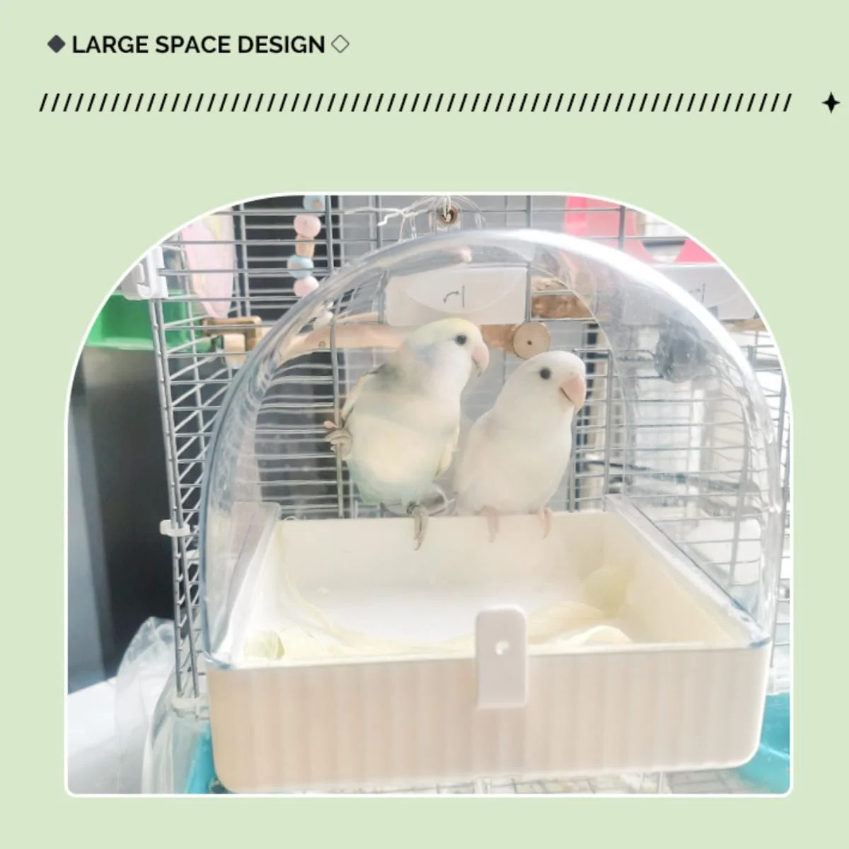 قفس حمام پرنده GraGra، حوضچه حمام پرندگان، حمام طوطی، لوازم نظافت حیوانات خانگی، وان شفاف طوطی کوتوله با کشوی زیرین، برای طوطی های کوچک، مرغ عشق های جادار، دوش قابل حمل قفس حمام پرنده GraGra، حوضچه حمام پرندگان، حمام طوطی، لوازم نظافت حیوانات خانگی، وان شفاف طوطی کوتوله با کشوی زیرین، برای طوطی های کوچک، مرغ عشق های جادار، دوش قابل حمل
