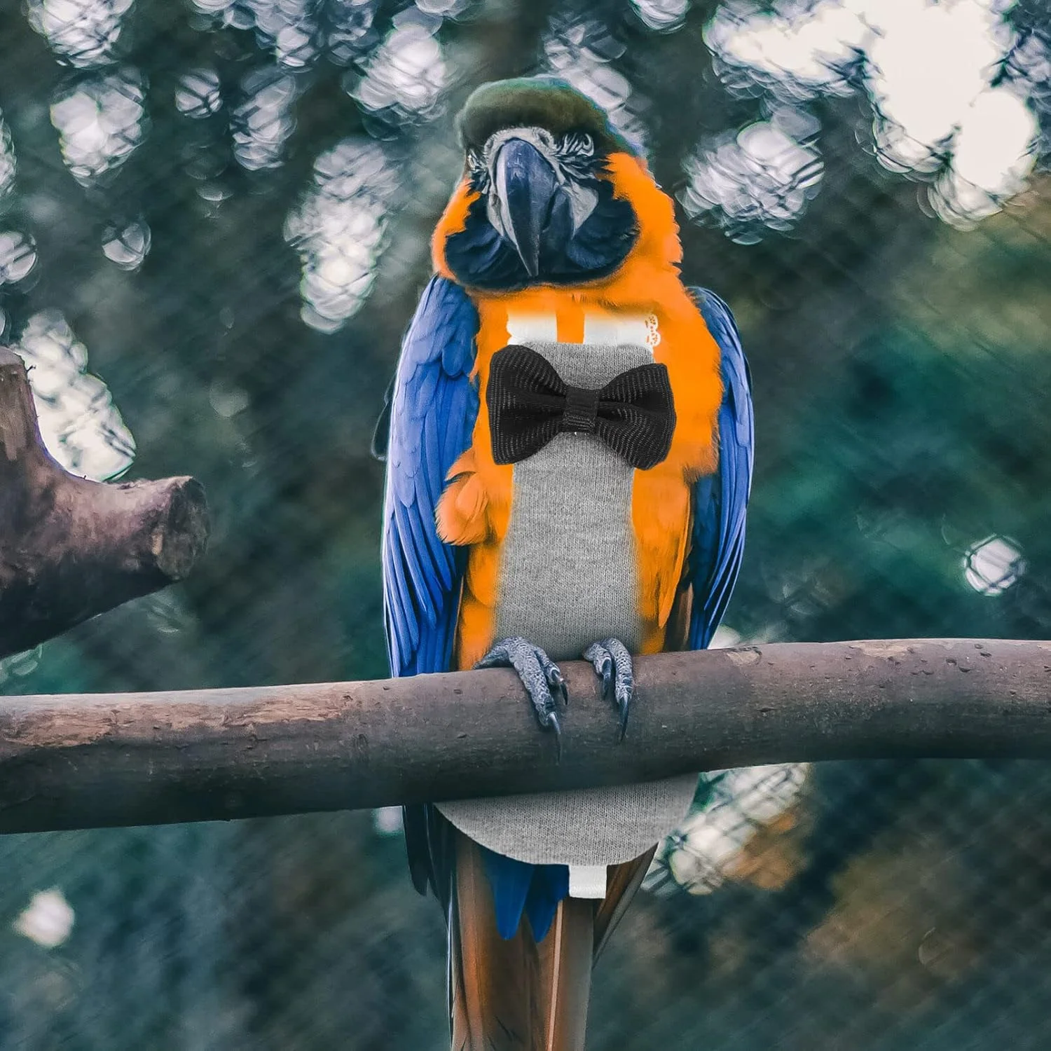 لباس پرواز پرنده، پوشک پرنده، لباس پرواز کانور، پوشک طوطی، لباس پرنده، آستر لباس پرواز پرنده، لوازم پرنده خانگی برای طوطی ماکائو، مرغ عشق، کاکادو، پوشک مرغ لباس پرواز پرنده، پوشک پرنده، لباس پرواز کانور، پوشک طوطی، لباس پرنده، آستر لباس پرواز پرنده، لوازم پرنده خانگی برای طوطی ماکائو، مرغ عشق، کاکادو، پوشک مرغ