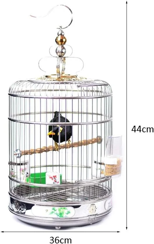 قفس پرنده پیاولینگ، قفس پرنده استیل ضد زنگ، قفس آویز گرد، خانه پرنده بزرگ برای طوطی، عروس هلندی، فنچ، قناری، مرغ عشق بادوام (سایز: 36 سانتی متر) قفس پرنده پیاولینگ، قفس پرنده استیل ضد زنگ، قفس آویز گرد، خانه پرنده بزرگ برای طوطی، عروس هلندی، فنچ، قناری، مرغ عشق بادوام (سایز: 36 سانتی متر)