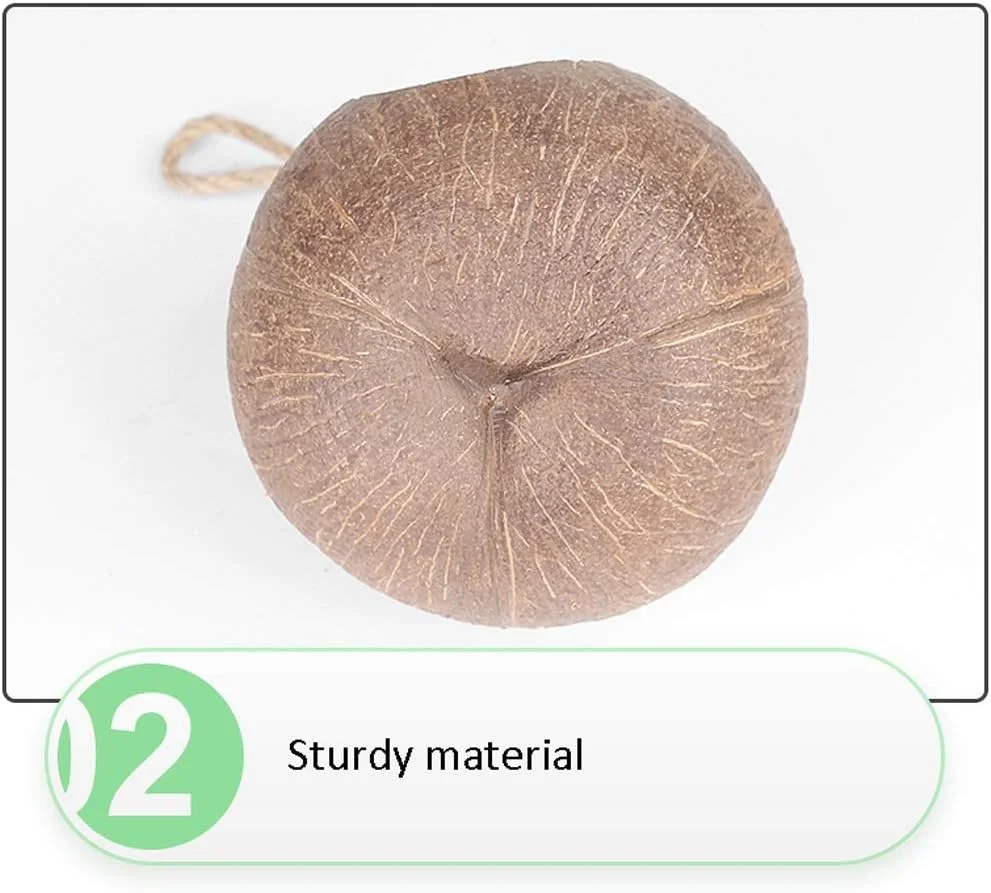 لانه پرنده پیاولینگ، لانه نارگیلی طبیعی، قفس پرورش طوطی و مرغ عشق، قفس آویز، خانه کوچک گرم و بادوام لانه پرنده پیاولینگ، لانه نارگیلی طبیعی، قفس پرورش طوطی و مرغ عشق، قفس آویز، خانه کوچک گرم و بادوام