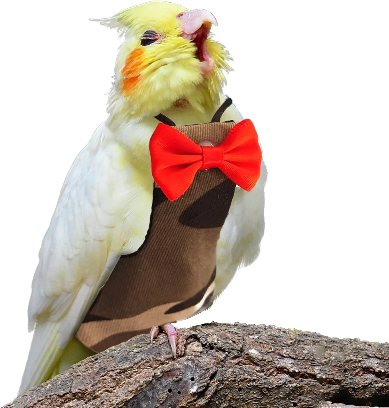 پوشک پرنده قابل شستشو، لباس پرواز پرنده قابل استفاده مجدد، پوشک محافظ تنفسی برای طوطی، لباس پوشک برای طوطی برزیلی، طوطی ماکائو، مرغ عشق، قناری، مرغ عشق، عروس هلندی (استتار، بزرگ) پوشک پرنده قابل شستشو، لباس پرواز پرنده قابل استفاده مجدد، پوشک محافظ تنفسی برای طوطی، لباس پوشک برای طوطی برزیلی، طوطی ماکائو، مرغ عشق، قناری، مرغ عشق، عروس هلندی (استتار، بزرگ)