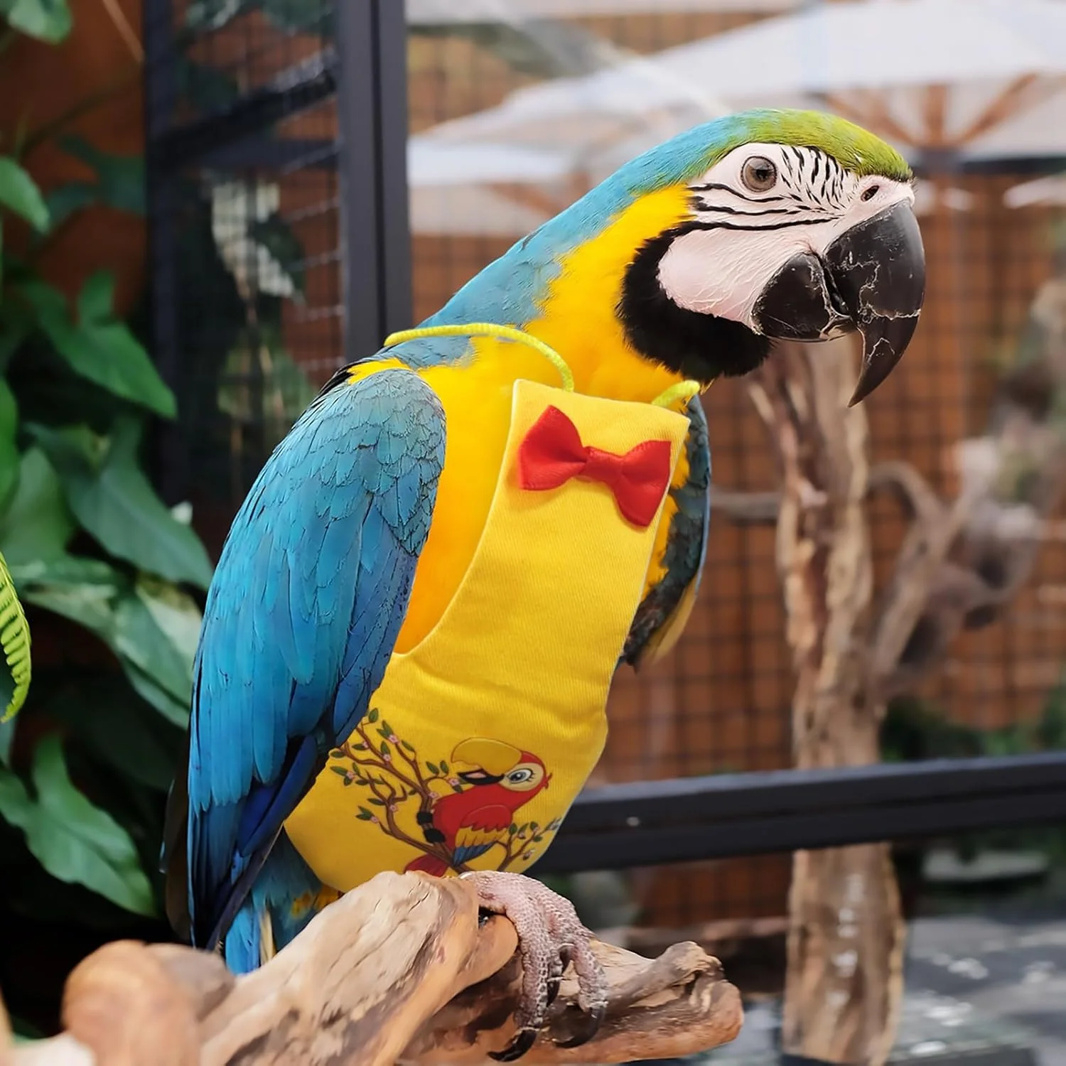 پوشک پرنده XQIGI، پوشک های قابل شستشو برای طوطی، لباس پرواز پرنده قابل استفاده مجدد، لباس محافظ و تنفسی برای طوطی برزیلی، طوطی ماکائو، مرغ عشق، قناری، مرغ عشق، عروس هلندی (زرد، بزرگ) پوشک پرنده XQIGI، پوشک های قابل شستشو برای طوطی، لباس پرواز پرنده قابل استفاده مجدد، لباس محافظ و تنفسی برای طوطی برزیلی، طوطی ماکائو، مرغ عشق، قناری، مرغ عشق، عروس هلندی (زرد، بزرگ)