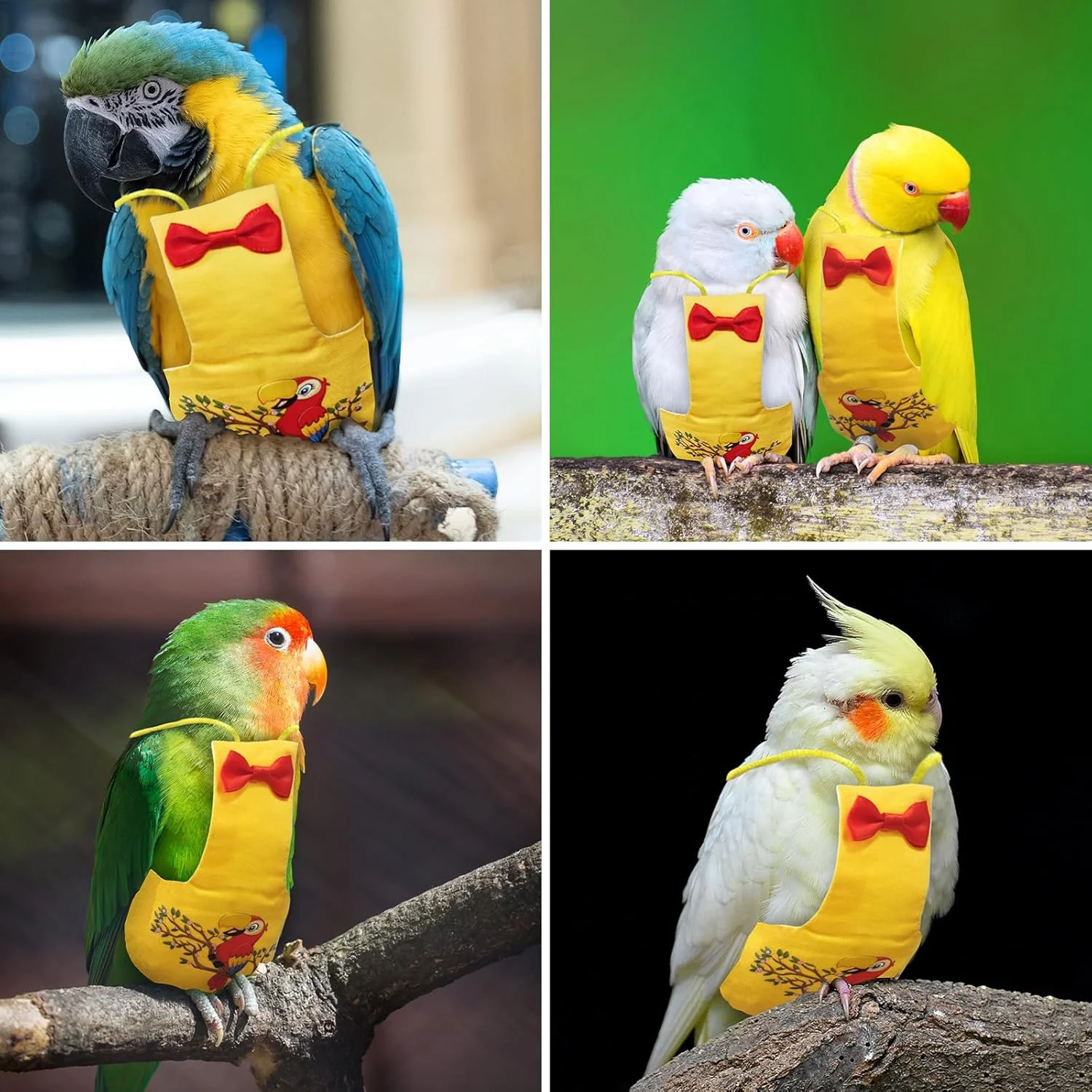 پوشک پرنده XQIGI، پوشک های قابل شستشو برای طوطی، لباس پرواز پرنده قابل استفاده مجدد، لباس محافظ تنفسی برای طوطی برزیلی، طوطی ماکائو، مرغ عشق، قناری، مرغ عشق، عروس هلندی (زرد، XL) پوشک پرنده XQIGI، پوشک های قابل شستشو برای طوطی، لباس پرواز پرنده قابل استفاده مجدد، لباس محافظ تنفسی برای طوطی برزیلی، طوطی ماکائو، مرغ عشق، قناری، مرغ عشق، عروس هلندی (زرد، XL)