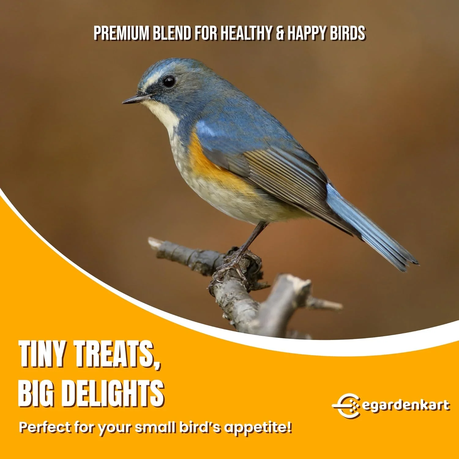 غذای پرندگان وحشی Egardenkart وزن 10 کیلوگرم - مخلوط دانه اقتصادی پرندگان برای انواع پرندگان وحشی | خوراک پرنده برای کبوتر، مینا، چکاوک، بلبل، گنجشک، هدهد | دانه های پرندگان در فضای باز (10 کیلوگرم، دانه های کوچک) غذای پرندگان وحشی Egardenkart وزن 10 کیلوگرم - مخلوط دانه اقتصادی پرندگان برای انواع پرندگان وحشی | خوراک پرنده برای کبوتر، مینا، چکاوک، بلبل، گنجشک، هدهد | دانه های پرندگان در فضای باز (10 کیلوگرم، دانه های کوچک)