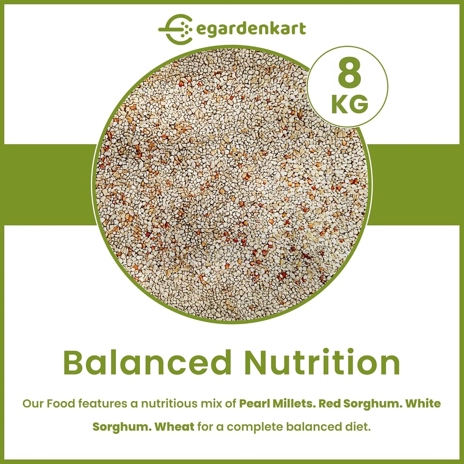 غذای روزانه پرندگان ایگاردن کارت - 8 کیلوگرم، دانه پرنده | غذای پرندگان وحشی برای انواع پرندگان وحشی | غذای پرندگان برای پرندگان کوچک کبوتر مینا چکاوک بلبل گنجشک هدهد مخلوط دانه (8)