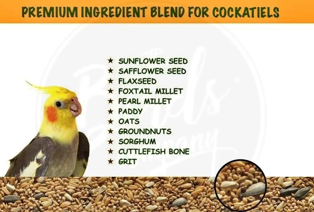 مخلوط دانه ممتاز شرکت پرندگان شامل 9 غله و آجیل، غنی شده با اسپیرولینا، غذای پرنده برای عروس هلندی، 450 گرم