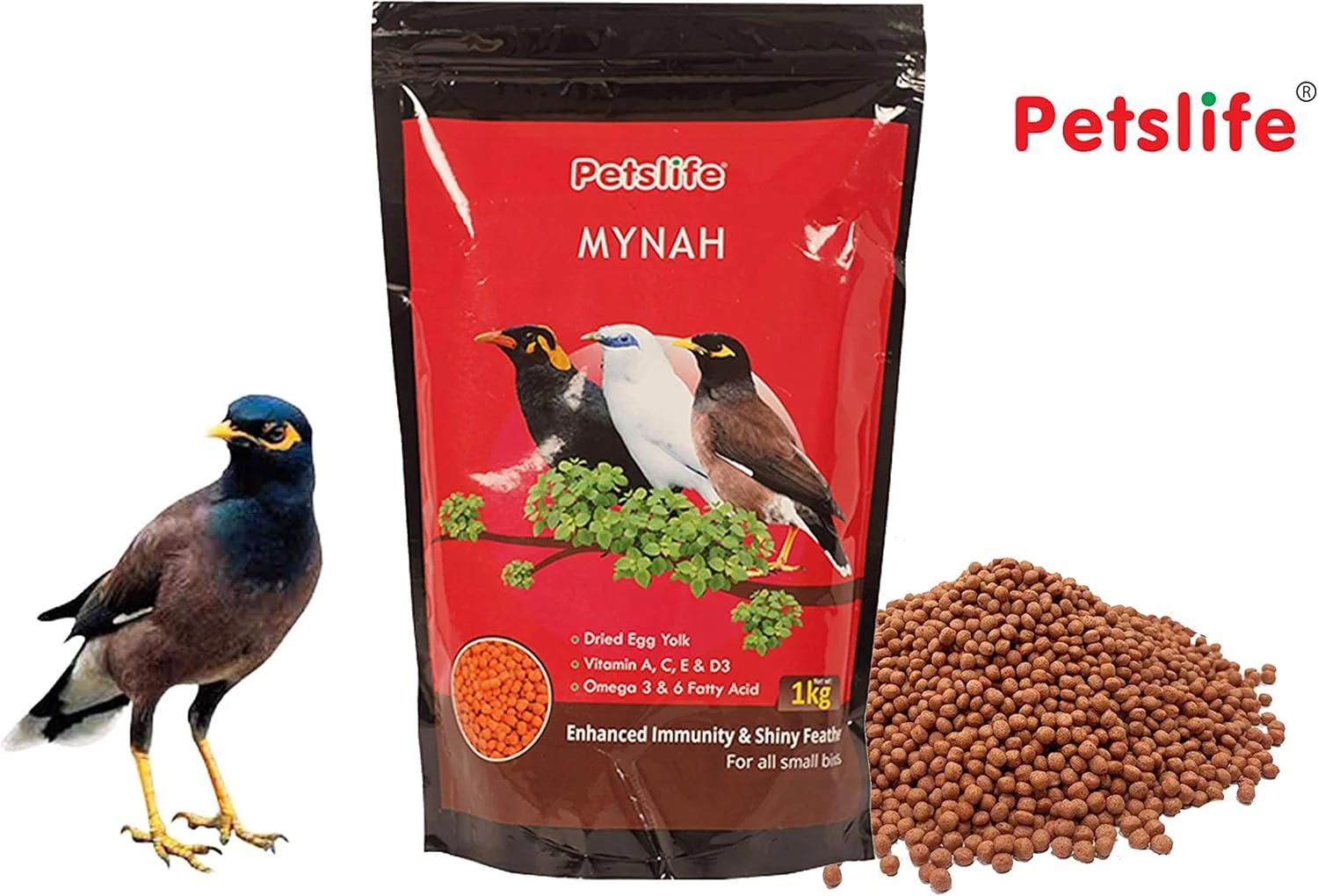 غذای پرنده پتس لایف مناسب مرغ مینا، 1 کیلوگرم