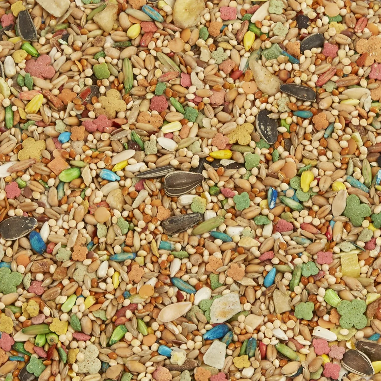 غذای عروس هلندی براون مدل Tropical Carnival وزن 1.36 کیلوگرم غذای عروس هلندی براون مدل Tropical Carnival وزن 1.36 کیلوگرم