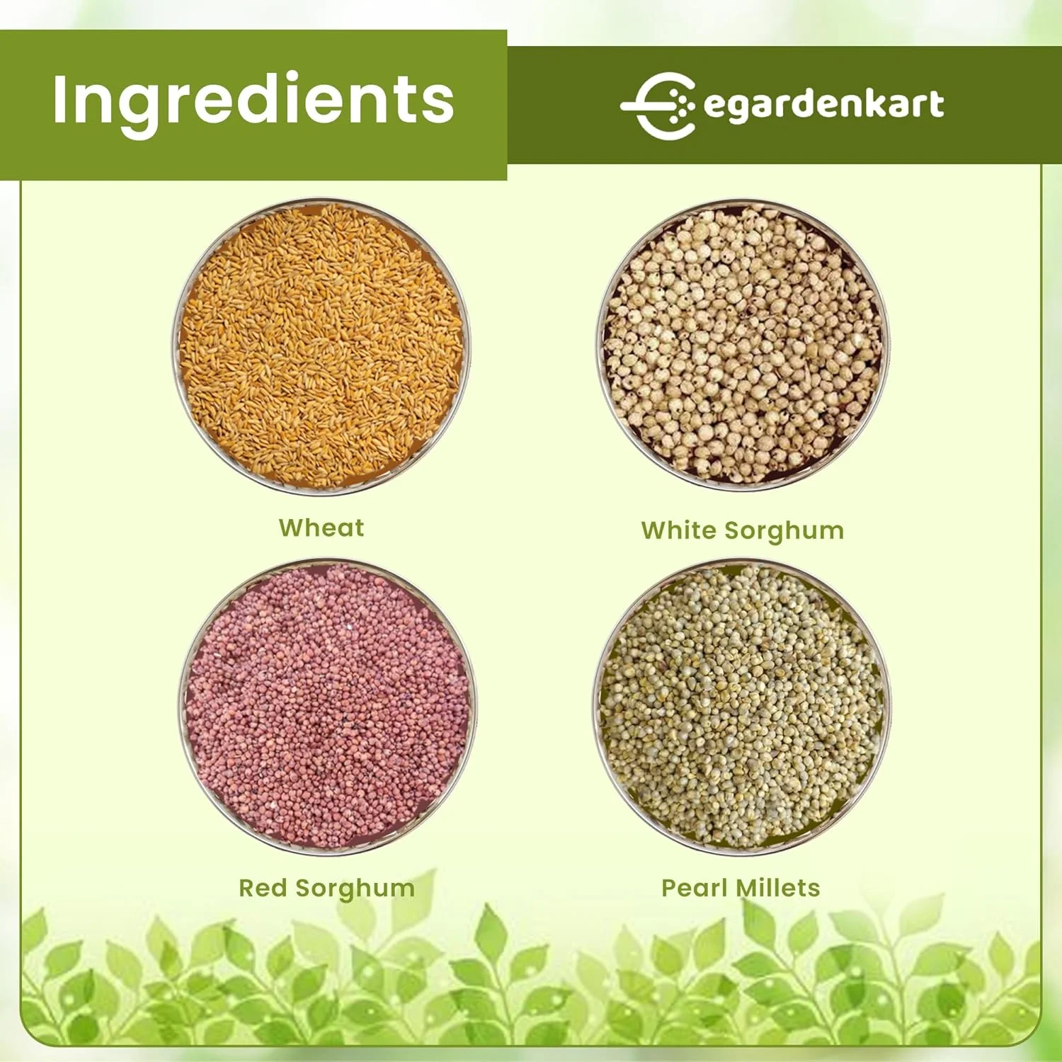 غذای روزانه پرندگان ایگاردن کارت - 8 کیلوگرم، دانه پرنده | غذای پرندگان وحشی برای انواع پرندگان وحشی | غذای پرندگان برای پرندگان کوچک کبوتر مینا چکاوک بلبل گنجشک هدهد مخلوط دانه (8)