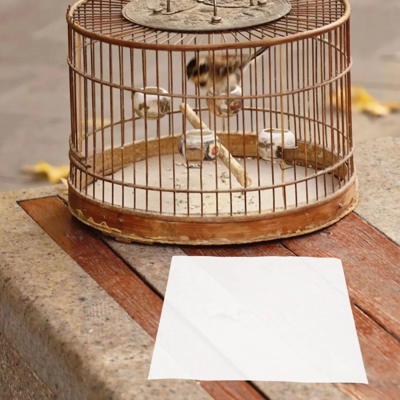 یوکوکو 300 عدد پد قفس مرغ عشق، رول آستر قفس طوطی، تشک جاذب ادرار قفس پرنده یوکوکو 300 عدد پد قفس مرغ عشق، رول آستر قفس طوطی، تشک جاذب ادرار قفس پرنده