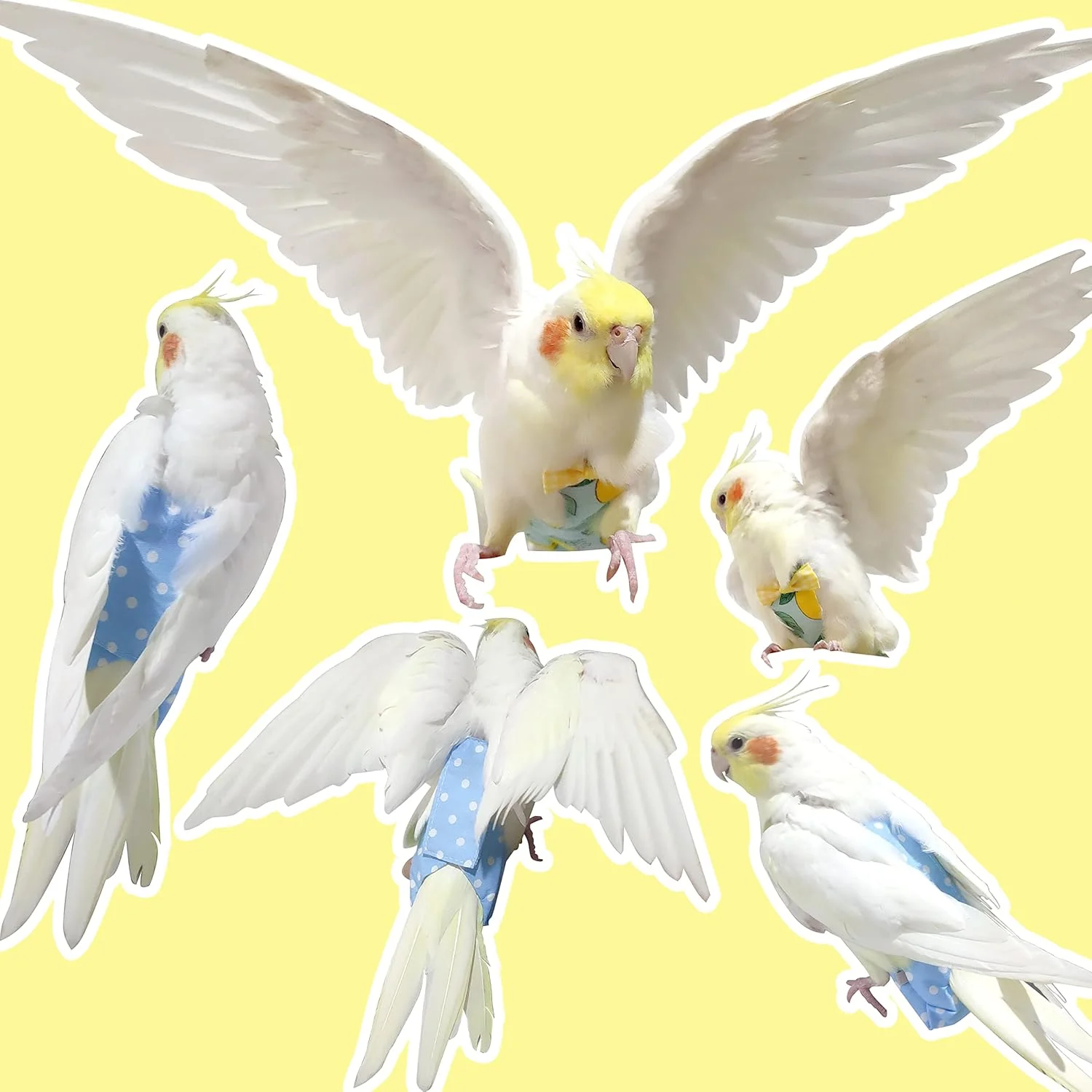 لباس پرواز با افسار 80 اینچی VANFAVORI برای طوطی، کانور، عروس هلندی، وزن 80-105 گرم، سایز M، جین، شامل یک پد پنبه ای لباس پرواز با افسار 80 اینچی VANFAVORI برای طوطی، کانور، عروس هلندی، وزن 80-105 گرم، سایز M، جین، شامل یک پد پنبه ای