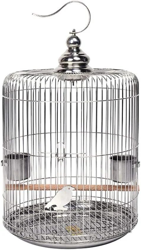 قفس پرنده توخالی استیل ضد زنگ، قفس مرغ مینا، خانه پرنده سار، قفس فنچ قناری، قفس حیوانات خانگی بادوام (سایز: 34 سانتی متر) قفس پرنده توخالی استیل ضد زنگ، قفس مرغ مینا، خانه پرنده سار، قفس فنچ قناری، قفس حیوانات خانگی بادوام (سایز: 34 سانتی متر)
