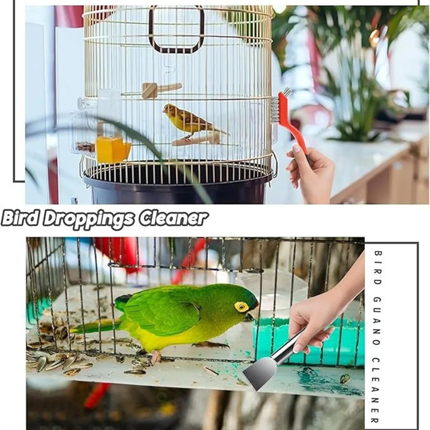 ست تمیز کننده قفس پرنده | برس و کاردک تمیز کننده مدفوع پرنده، 1 ست لوازم جانبی حیوانات خانگی برای قفس، لانه، ظرف آب، قناری، خرگوش، همستر، حیاط و فضای باز ست تمیز کننده قفس پرنده | برس و کاردک تمیز کننده مدفوع پرنده، 1 ست لوازم جانبی حیوانات خانگی برای قفس، لانه، ظرف آب، قناری، خرگوش، همستر، حیاط و فضای باز