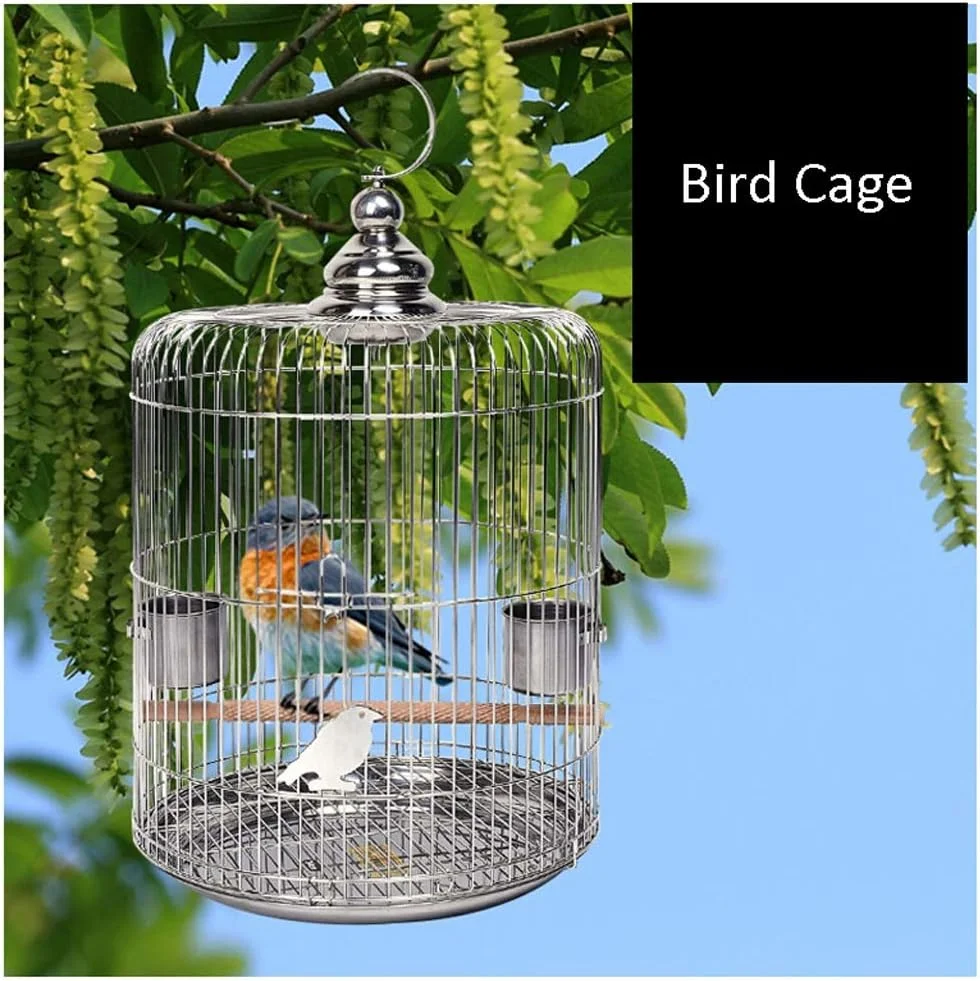قفس پرنده توخالی استیل ضد زنگ، قفس مرغ مینا، خانه پرنده سار، قفس فنچ قناری، قفس حیوانات خانگی بادوام (سایز: 34 سانتی متر) قفس پرنده توخالی استیل ضد زنگ، قفس مرغ مینا، خانه پرنده سار، قفس فنچ قناری، قفس حیوانات خانگی بادوام (سایز: 34 سانتی متر)