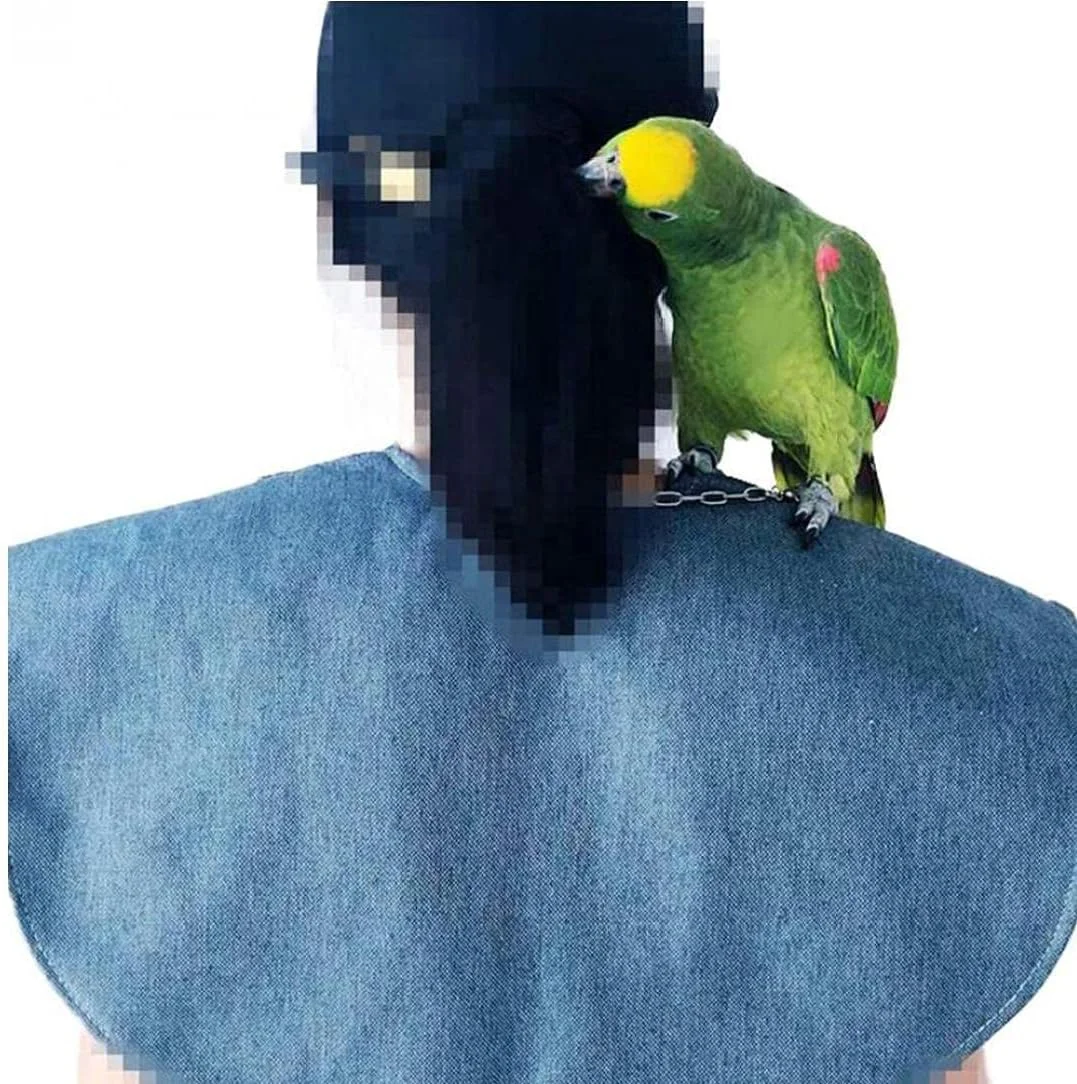 شال محافظ شانه ضد چنگ پرنده خانگی، مناسب برای طوطی و پاراکیت های کوچک و متوسط، چند منظوره، آبی شال محافظ شانه ضد چنگ پرنده خانگی، مناسب برای طوطی و پاراکیت های کوچک و متوسط، چند منظوره، آبی