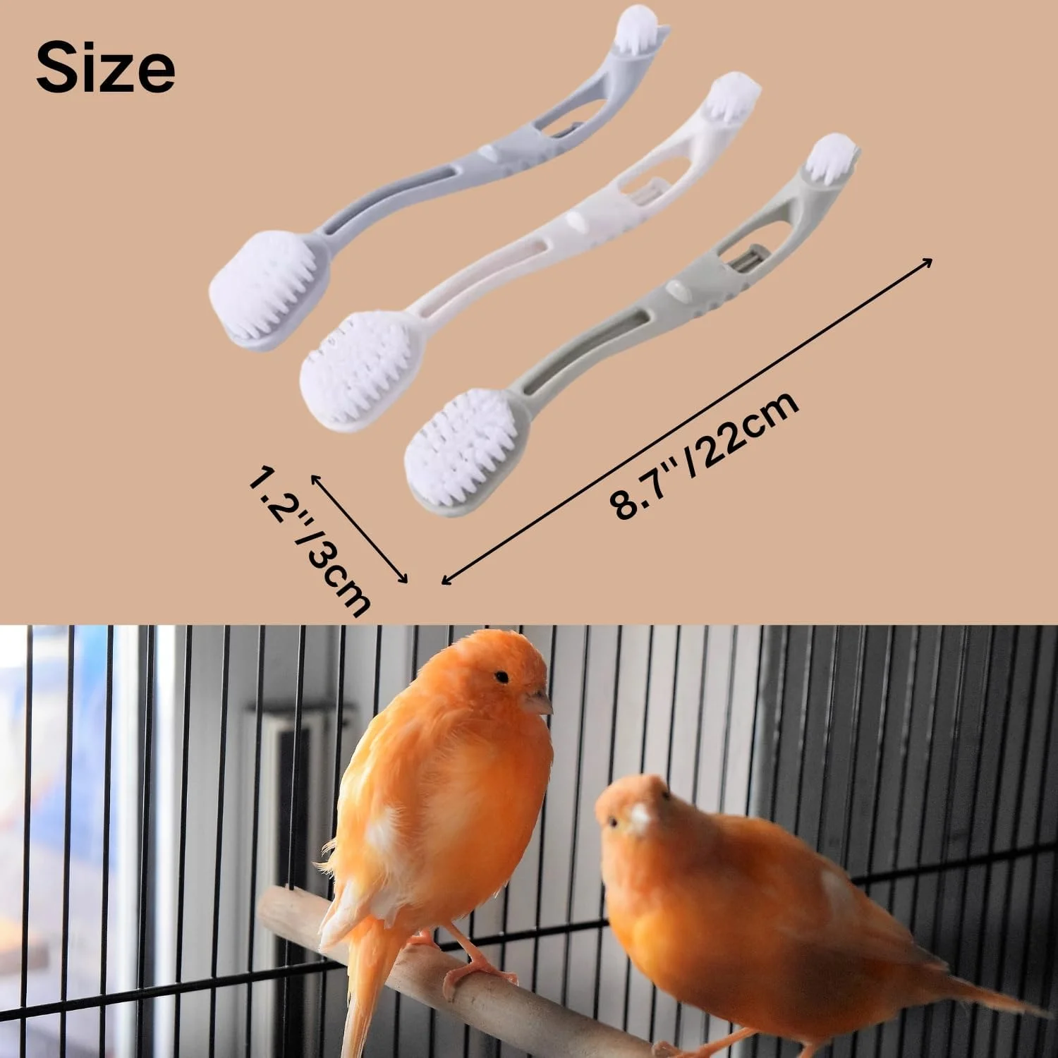 مجموعه 3 عددی برس تمیز کننده قفس پرنده SEZDEKI با دو سر برس و دسته بلند، مناسب برای قفس پرندگان، قفس حیوانات خانگی و میله های نشیمن مجموعه 3 عددی برس تمیز کننده قفس پرنده SEZDEKI با دو سر برس و دسته بلند، مناسب برای قفس پرندگان، قفس حیوانات خانگی و میله های نشیمن