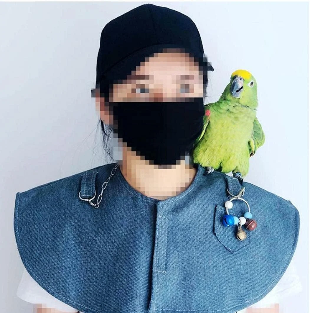 شال محافظ شانه ضد چنگ پرنده خانگی، مناسب برای طوطی و پاراکیت های کوچک و متوسط، چند منظوره، آبی شال محافظ شانه ضد چنگ پرنده خانگی، مناسب برای طوطی و پاراکیت های کوچک و متوسط، چند منظوره، آبی