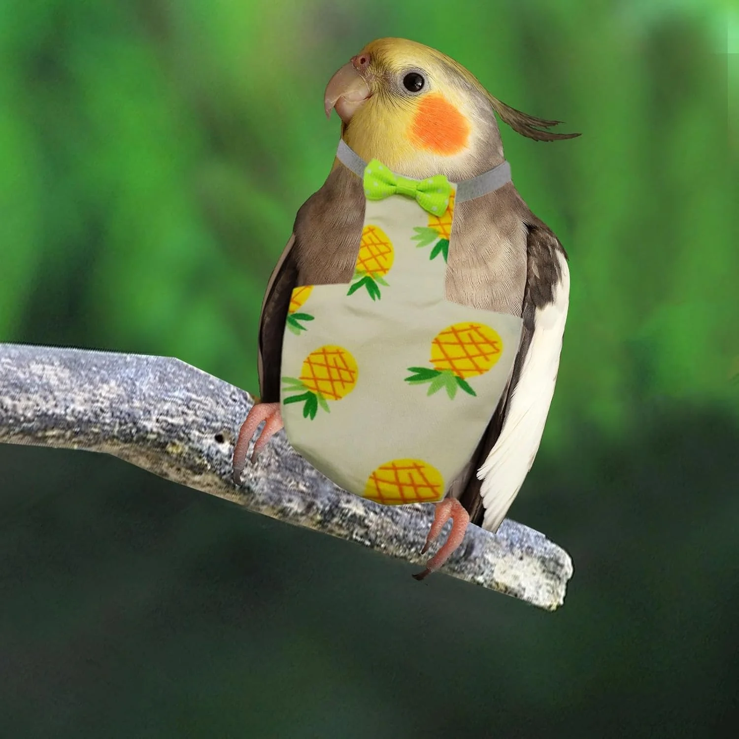 پوشک پرنده کبوتر، لباس پوشک پرنده قابل شستشو، لایه های نرم ضد نشت 2X قابل تنظیم، لوازم حیوانات خانگی برای پاراکیت، عروس هلندی، ماکائو، کبوتر