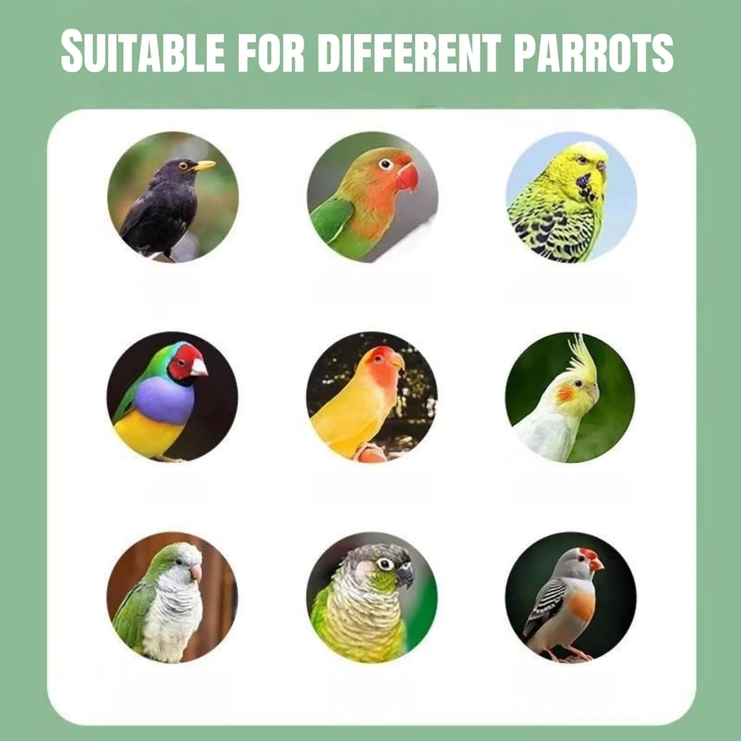 ظرف غذای بدون ریخت و پاش POSICHE برای طوطی، ظرف غذای اتوماتیک ضد پاشش با سینی کشویی، ظرف غذای پرنده آکریلیک شفاف برای قفس و استفاده در فضای باز، 18.5x8.5x7.5 سانتی متر