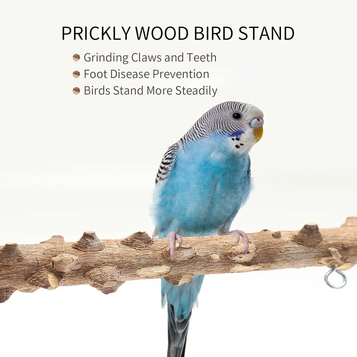 زمین بازی چوبی اسباب بازی پرندگان، لوازم جانبی قفس پرنده، سکوی ورزشی پرنده، میله های نشیمن پرنده، دارای 2 فنجان استیل ضد زنگ و سینی جداشدنی