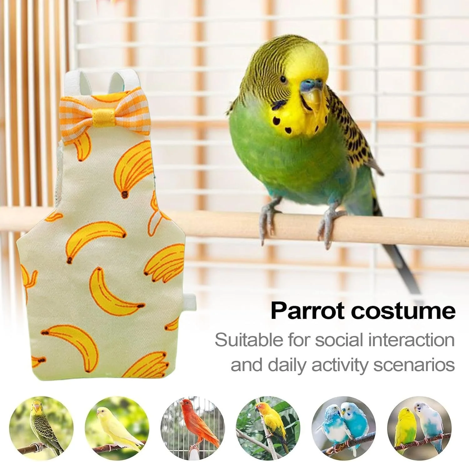 پوشک پرنده Pigeon - لباس پرواز پرنده - لباس حیوانات خانگی قابل تنفس و شستشو برای مرغ عشق، قناری، ماکائو، هدیه خانه نو پوشک پرنده Pigeon - لباس پرواز پرنده - لباس حیوانات خانگی قابل تنفس و شستشو برای مرغ عشق، قناری، ماکائو، هدیه خانه نو