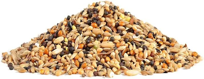 غذای روزانه ریو برای قناری 1 کیلوگرم غذای روزانه ریو برای قناری 1 کیلوگرم