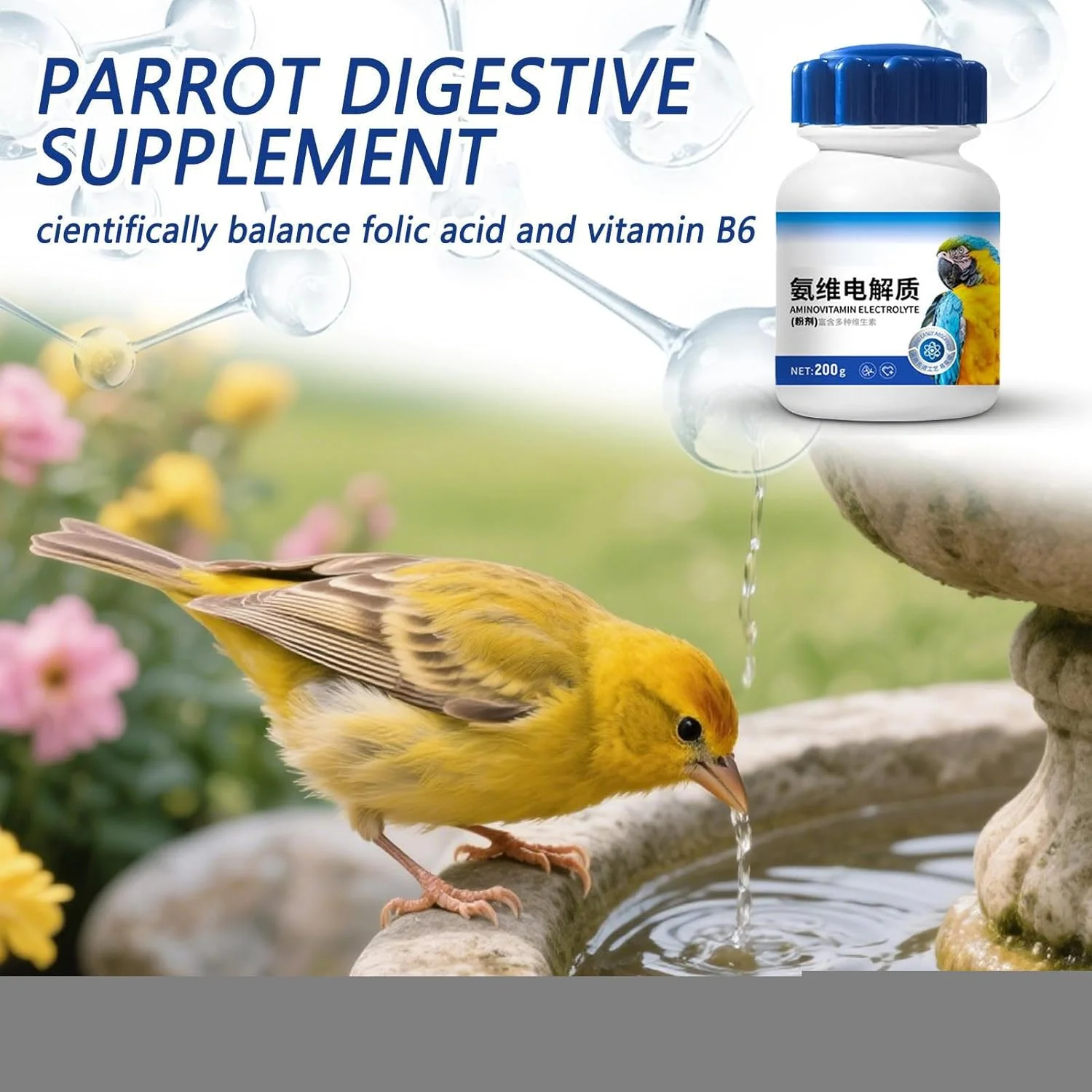 مکمل غذایی، مکمل های ترمیم کننده رژیم غذایی، تغذیه طبیعی گوارشی 200 گرم لوازم روزانه حیوانات خانگی برای پرندگان طوطی ها، ترویج رشد مناسب، تعادل داخلی مکمل غذایی، مکمل های ترمیم کننده رژیم غذایی، تغذیه طبیعی گوارشی 200 گرم لوازم روزانه حیوانات خانگی برای پرندگان طوطی ها، ترویج رشد مناسب، تعادل داخلی