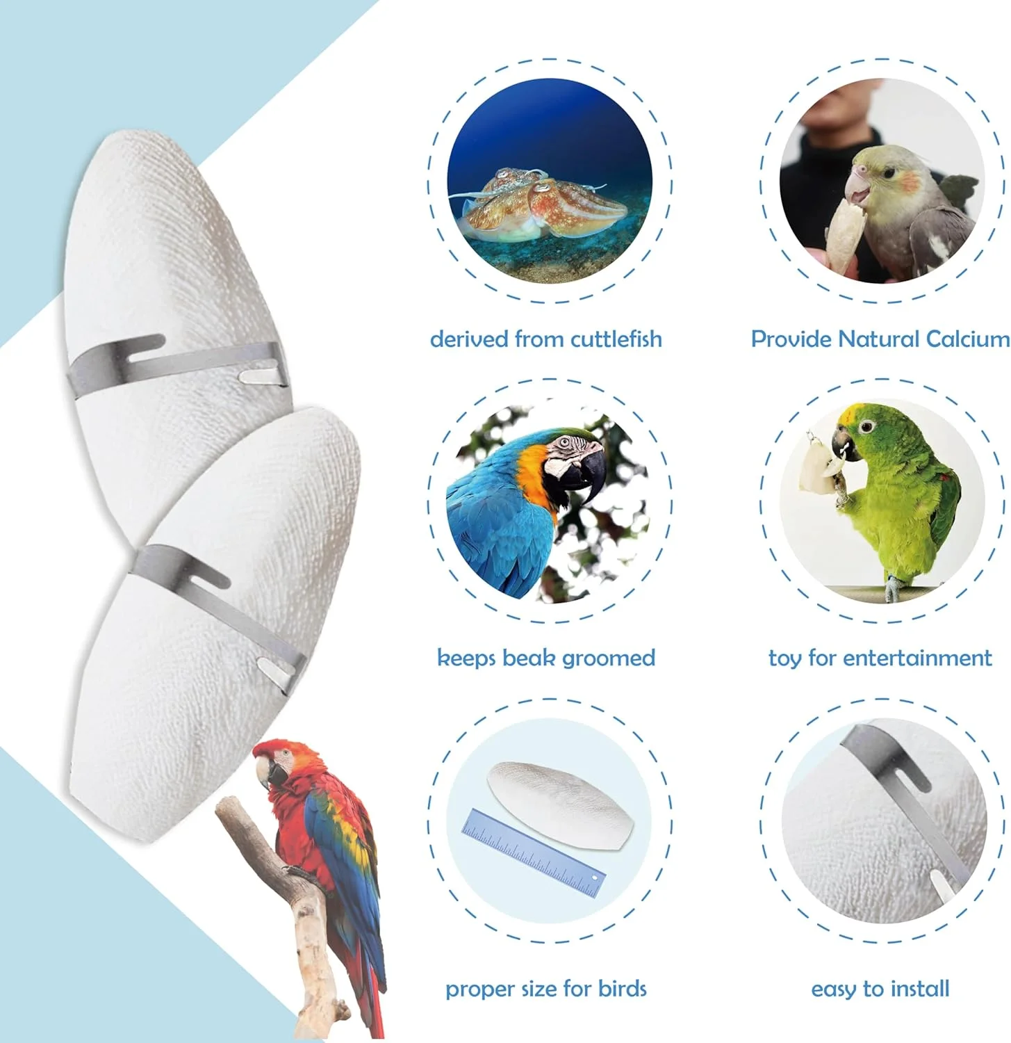 استخوان کف دریا برای پرندگان Jmxu، سایز 5 تا 5.5 اینچ، به همراه نگهدارنده فلزی، استخوان ماهی مرکب برای نوک تیز، کلسیم طبیعی پرندگان برای طوطی، عروس هلندی، مرغ عشق، 6 عدد