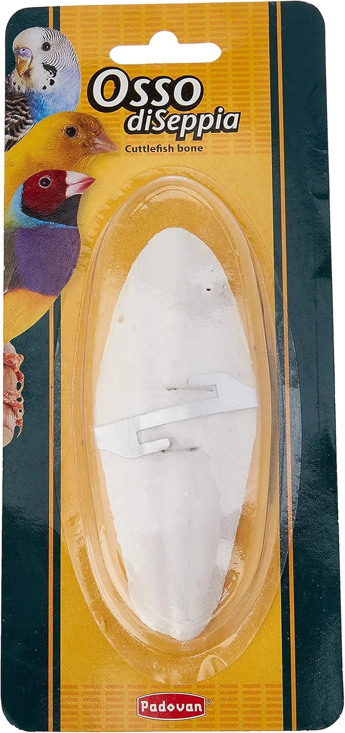 استخوان کف دریا پادوان اوسو دیسپیا 15 گرم استخوان کف دریا پادوان اوسو دیسپیا 15 گرم