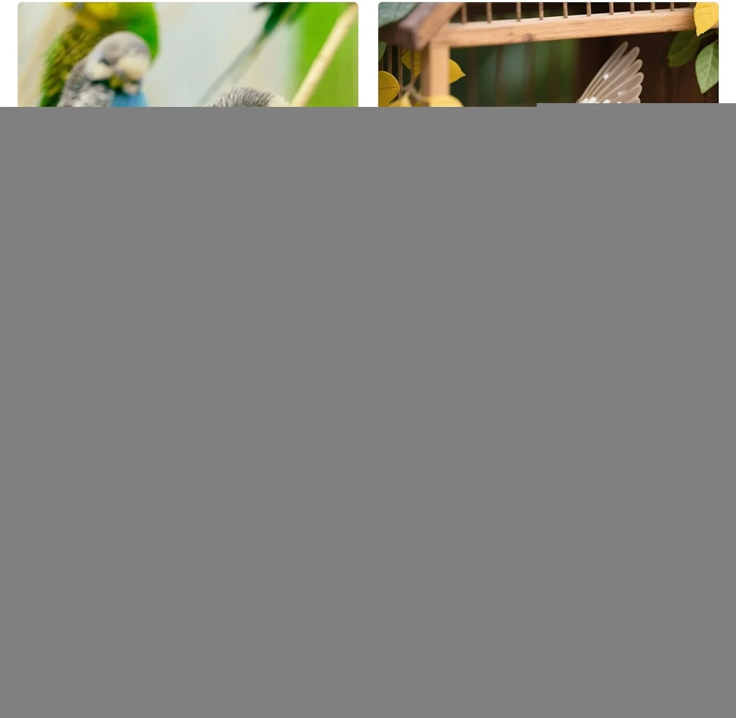 ترمیم رژیم غذایی - مکمل های غذایی برای سلامتی، پودر تغذیه طبیعی 200 گرمی برای ارتقاء تعادل داخلی گوارش، رشد انرژی و تکامل مناسب طوطی ها، پرندگان و لوازم حیوانات خانگی