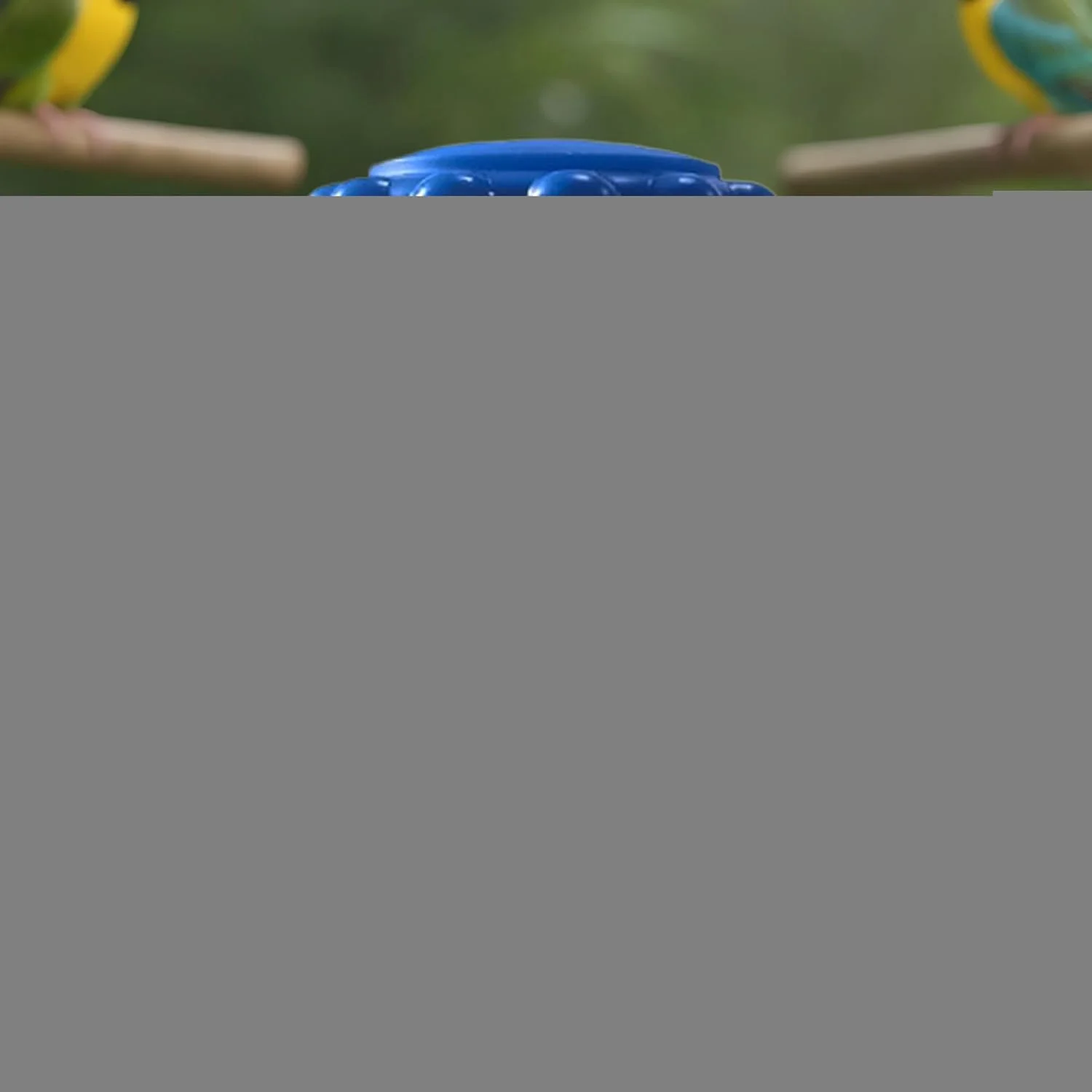 مکمل های غذایی - مکمل های سلامتی | تغذیه طبیعی گوارشی 200 گرم لوازم روزانه حیوانات خانگی برای پرندگان طوطی سانان ترویج رشد و توسعه مناسب تعادل داخلی مکمل های غذایی - مکمل های سلامتی | تغذیه طبیعی گوارشی 200 گرم لوازم روزانه حیوانات خانگی برای پرندگان طوطی سانان ترویج رشد و توسعه مناسب تعادل داخلی