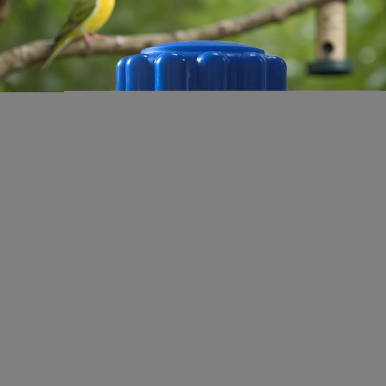 مکمل های ترمیم کننده رژیم غذایی - پودر طبیعی برای تغذیه گوارشی، لوازم روزانه حیوانات خانگی، سلامتی، رشد، انرژی، تعادل داخلی و رشد مناسب پرندگان و طوطی ها 200 گرم