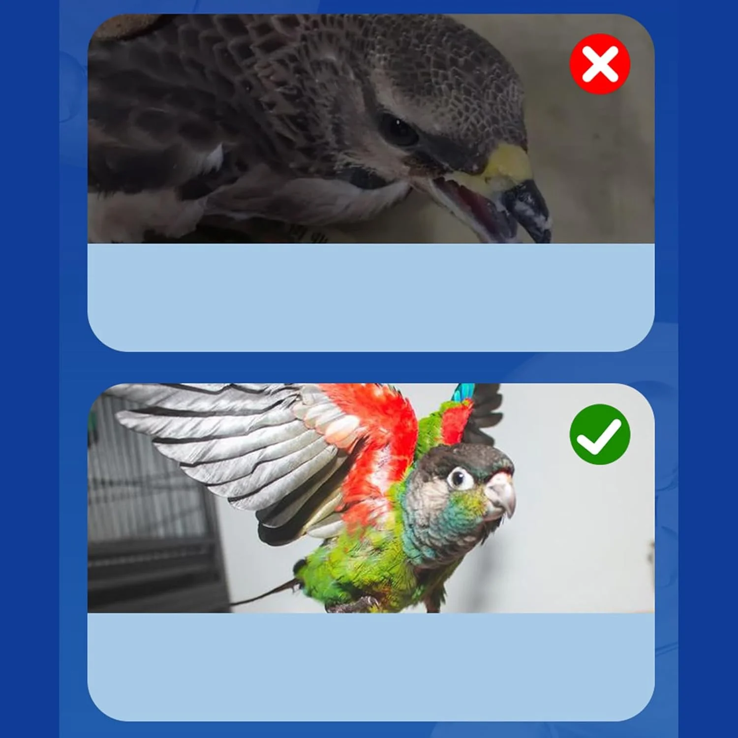 پودر تغذیه طبیعی 200 گرمی ترمیم رژیم غذایی - پشتیبانی از انرژی - برای ارتقاء تعادل داخلی گوارشی، رشد انرژی، رشد مناسب، طوطی ها، پرندگان، لوازم حیوانات خانگی پودر تغذیه طبیعی 200 گرمی ترمیم رژیم غذایی - پشتیبانی از انرژی - برای ارتقاء تعادل داخلی گوارشی، رشد انرژی، رشد مناسب، طوطی ها، پرندگان، لوازم حیوانات خانگی