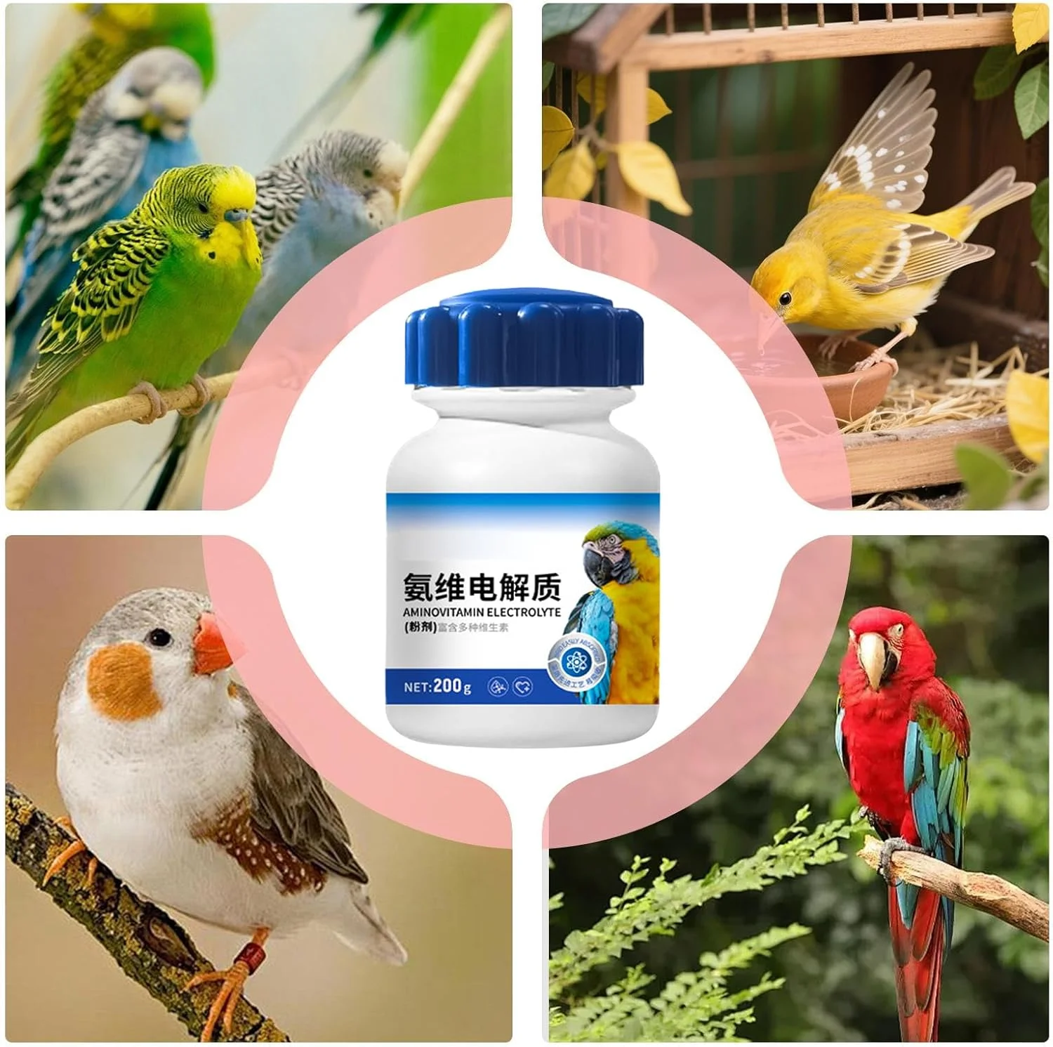 پودر طبیعی روزانه پشتیبانی انرژی برای سلامتی رژیمی - 200 گرم برای ارتقاء سلامت کامل بدن، تعادل داخلی، رشد انرژی، تکامل مناسب، هضم طوطی ها و پرندگان پودر طبیعی روزانه پشتیبانی انرژی برای سلامتی رژیمی - 200 گرم برای ارتقاء سلامت کامل بدن، تعادل داخلی، رشد انرژی، تکامل مناسب، هضم طوطی ها و پرندگان