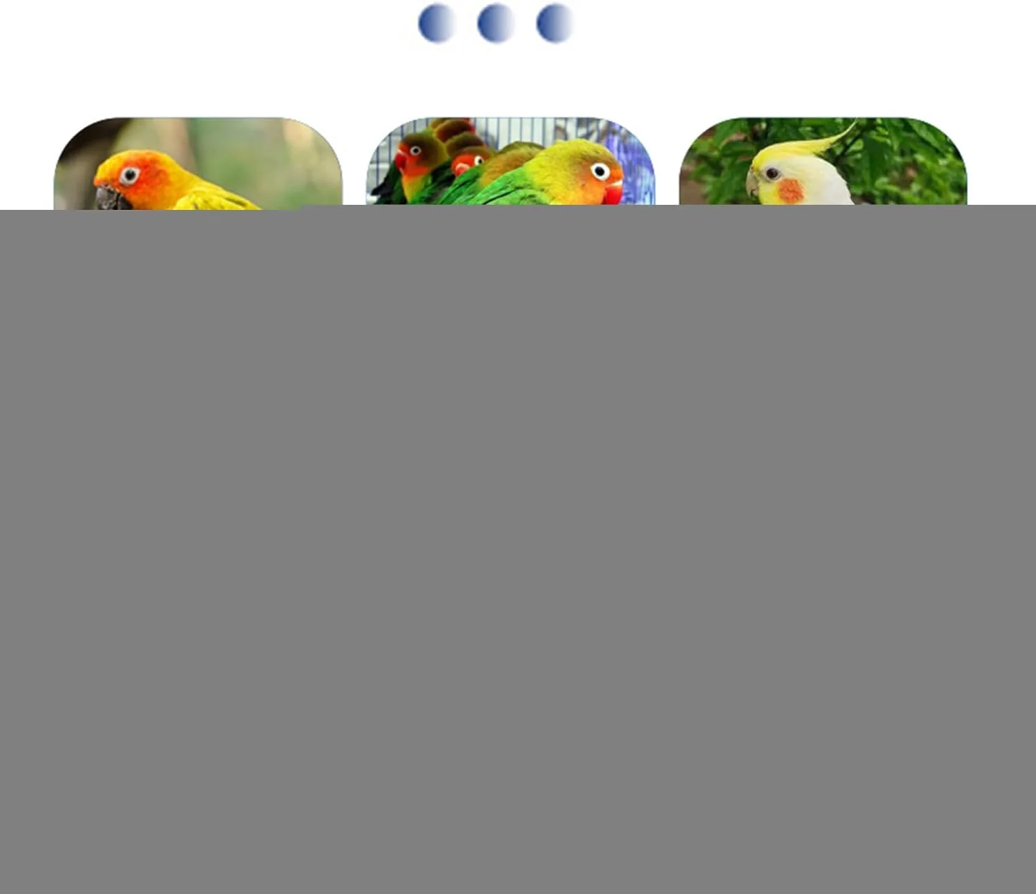 پشتیبانی غذایی، پشتیبانی انرژی - پودر تغذیه طبیعی 200 گرمی برای ارتقاء تعادل داخلی گوارشی، رشد انرژی، رشد مناسب، طوطی ها، پرندگان، لوازم حیوانات خانگی