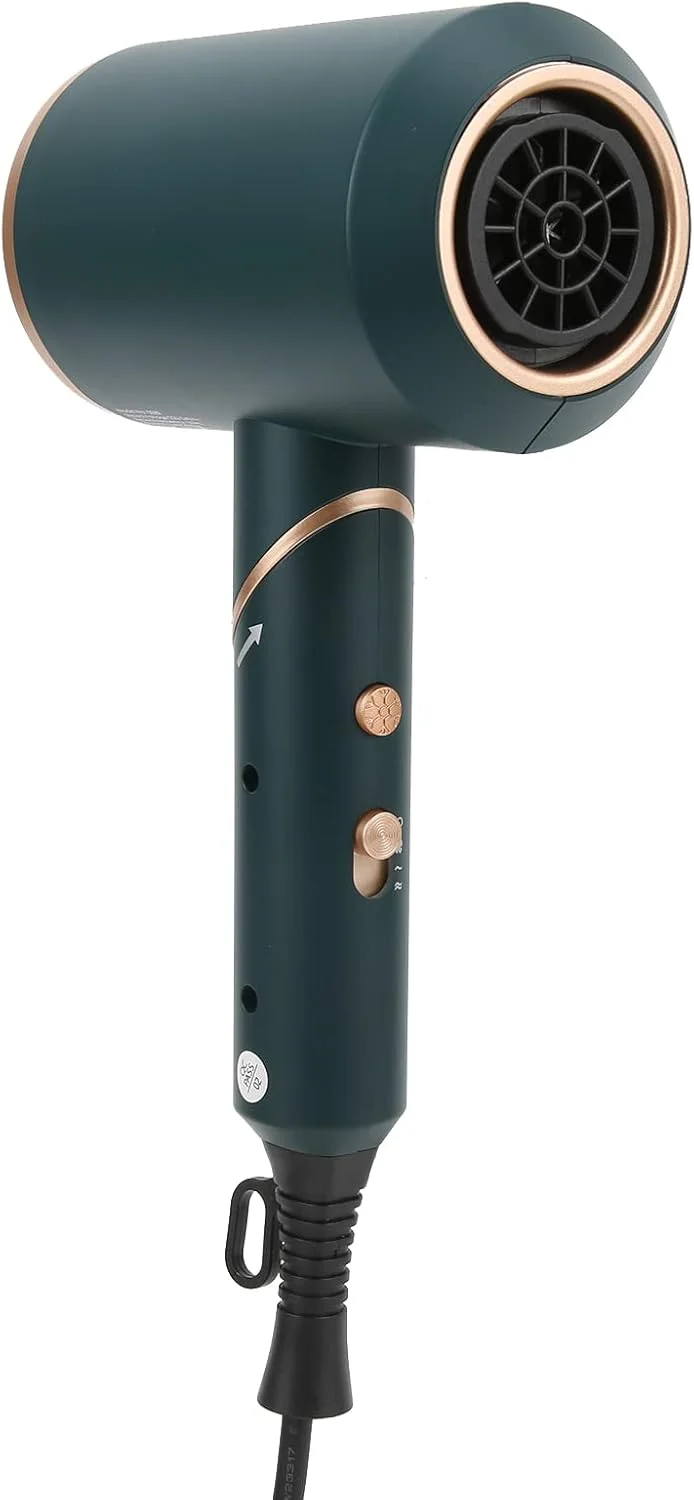 سشوار موی حیوانات خانگی FRIDNL، سشوار و دمنده قابل حمل چند منظوره برای خشک کردن سریع موی حیوانات خانگی (220 ولت، استاندارد اروپا)