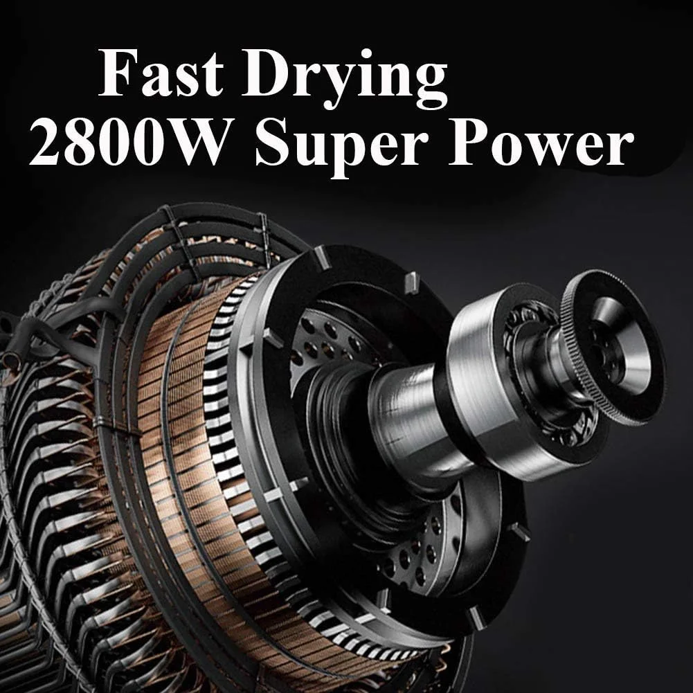 سشوار موی حیوانات خانگی، سشوار 2800 واتی با سرعت قابل تنظیم برای خشک کردن و نظافت سگ، دمنده حرفه ای با 3 نازل مختلف / شلنگ 2.5 متری، سیستم حرارتی، مشکی