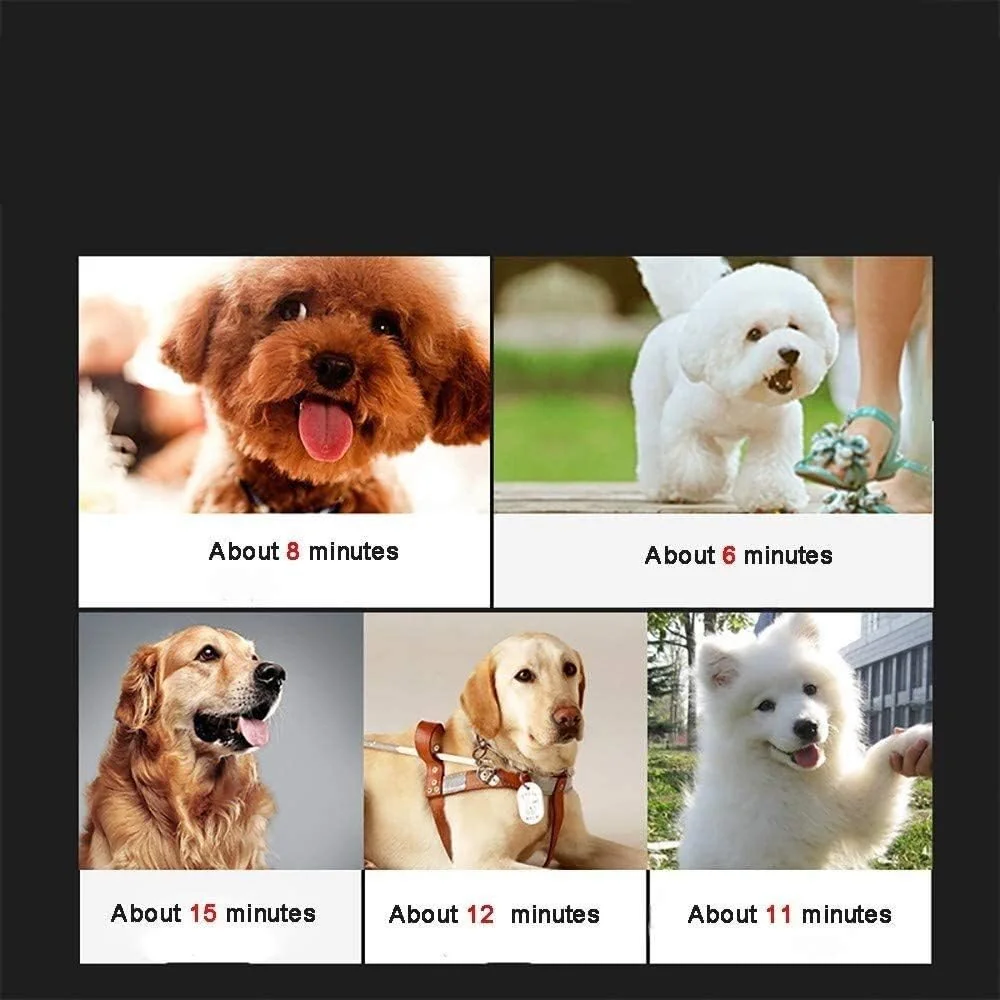 سشوار حیوانات خانگی 3000 واتی Adinas، مناسب سگ و گربه، با قابلیت تنظیم سرعت باد و دما، به همراه 3 نازل مختلف