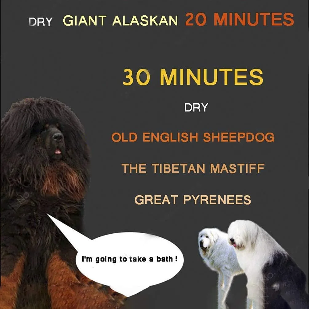 Adinas High Velocity Professional Dog Pet Grooming Hair Force Dryer Blower, 3600W High Power Stepless Adjustable Speed Dryer for Dogs pet Blaster Dryer