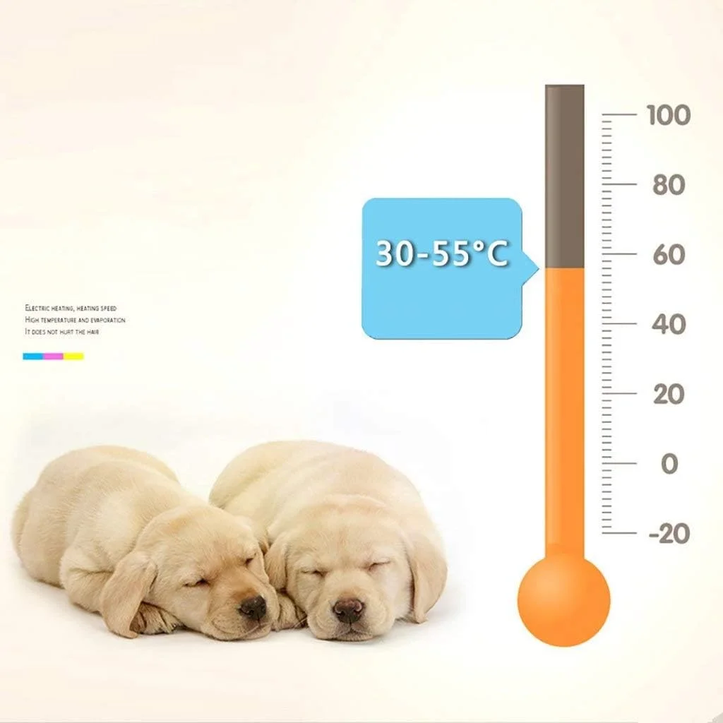 سشوار موی سگ WYJW 2200W با سرعت قابل تنظیم، دمنده نظافت حیوانات خانگی با بخاری - 3 نازل مختلف (رنگ: آبی)