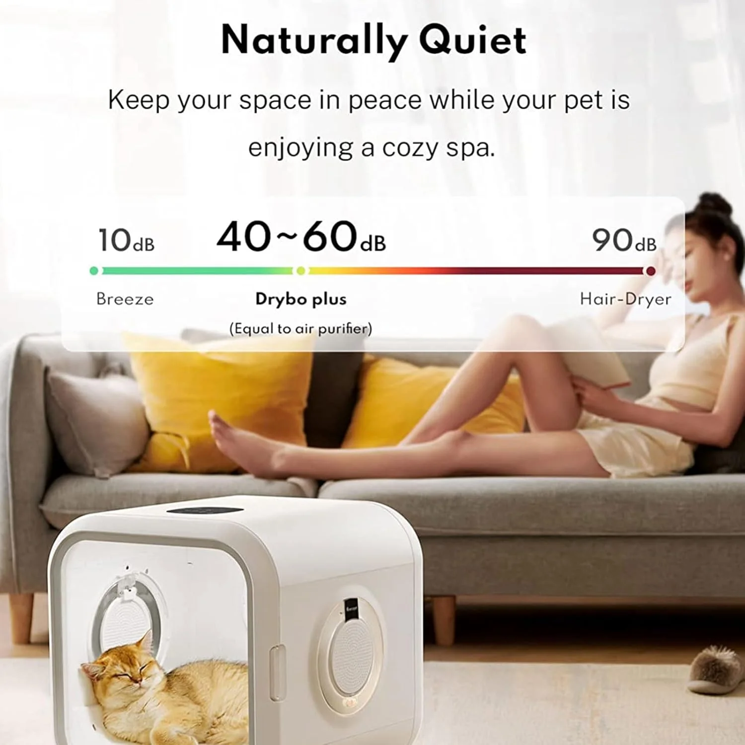 باکس خشک کن موی حیوانات خانگی 5℃~35℃، خشک کن موی حیوانات خانگی با تایمر 1 تا 120 دقیقه، خشک کن موی چند منظوره 900 واتی حیوانات خانگی، با کنترل دما، زمان و سرعت باد چهار سطحی، خشک کن سگ و گربه 60 لیتری