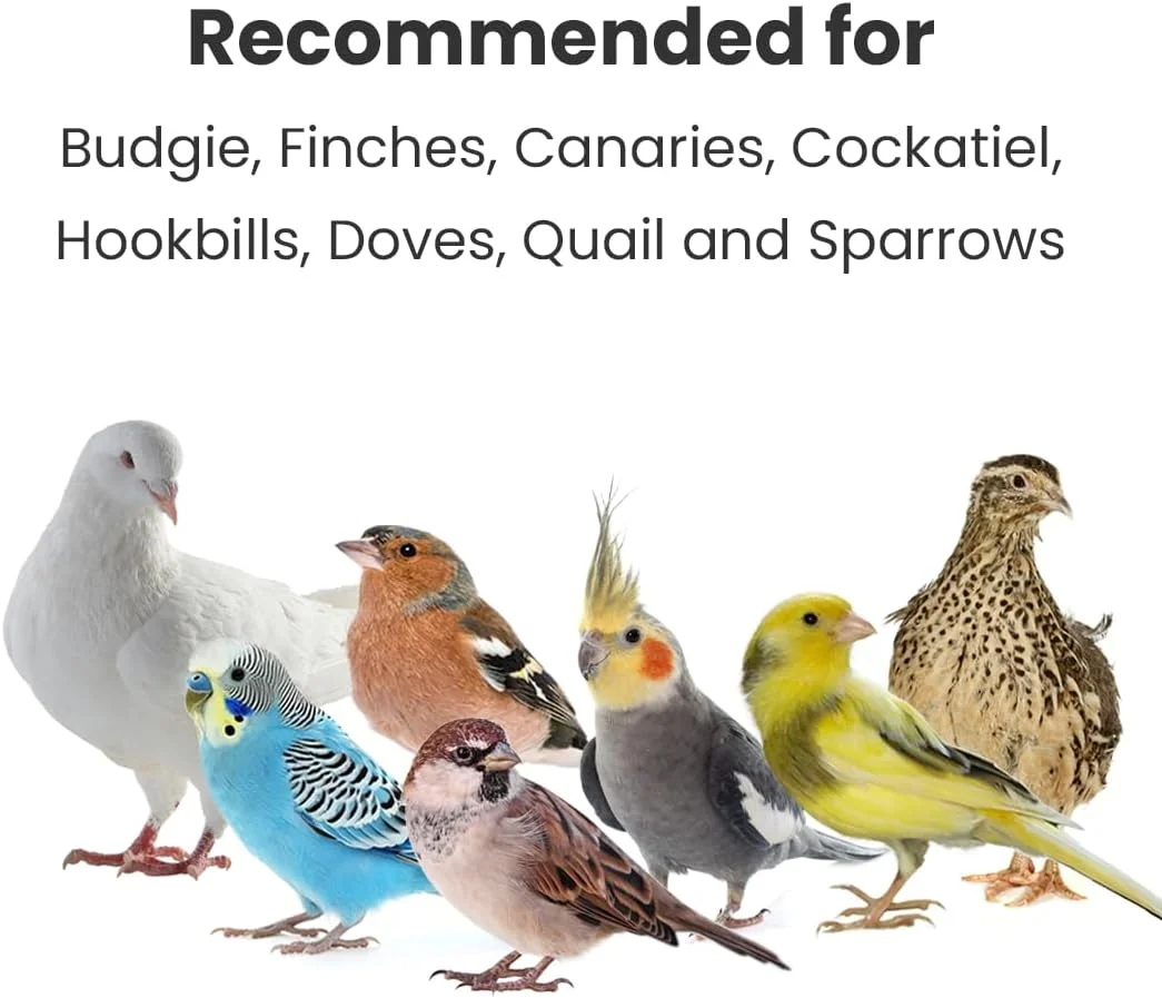 غذای ساده پرندگان Brandsfinity، 400 گرم، مناسب پرندگان کوچک، 100% دانه ارزن زرد، ایده آل برای مرغ عشق، قناری، فنچ، غذای آسان برای استفاده در دانخوری ها و خانه های پرندگان در فضای باز