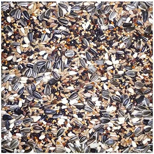 غذای مخلوط ارزان قیمت فارما فینچ 20 کیلوگرمی غذای مخلوط ارزان قیمت فارما فینچ 20 کیلوگرمی