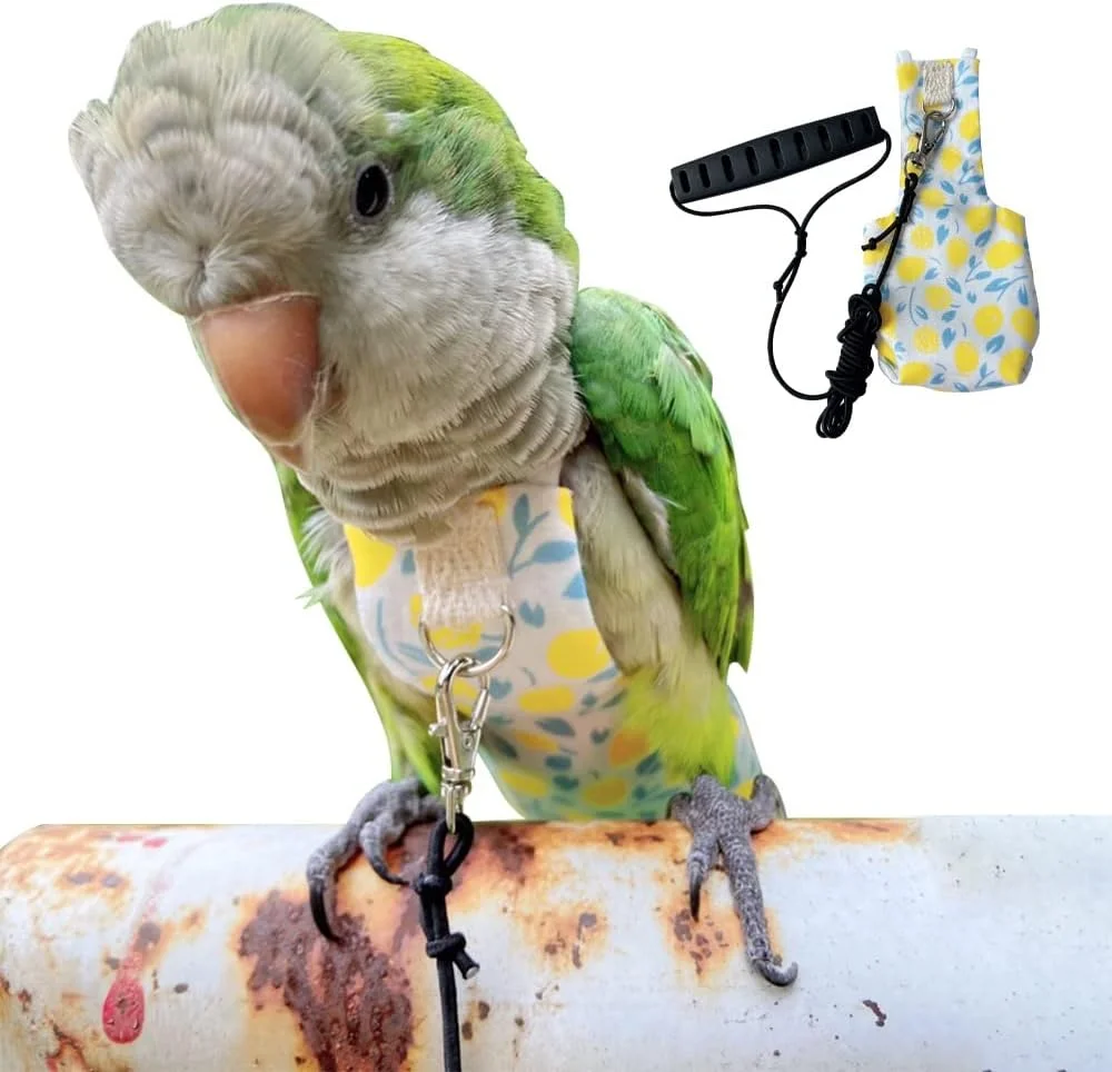 پوشک طوطی، لباس پرواز پرندگان، لباس طوطی، لباس حیوانات خانگی، لباس پرنده، پوشک عروس هلندی، پوشک پرنده خانگی، لباس پرواز طوطی، لباس طوطی پرنده (پنبه زرد، 2M)