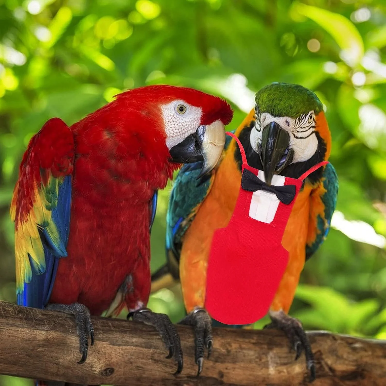 لباس پرواز طوطی با طرح پاپیون، مناسب و کاربردی برای پرندگان خانگی